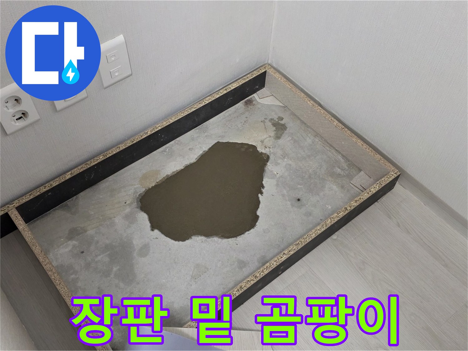 길음1동 숭인로 누수 - 장판 밑 곰팡이, 심각한 누수 상황