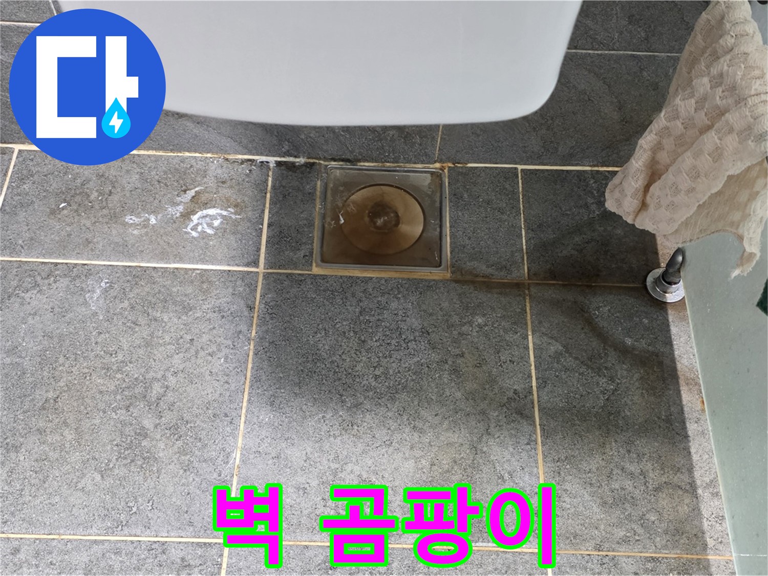 벽에 곰팡이 - 숨겨진 누수 탐지 전문 - 확실 해결