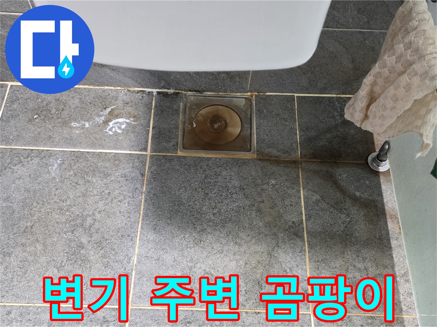 변기 주변 타일 틈새 곰팡이 - 변기 누수 의심 - 냄새 동반