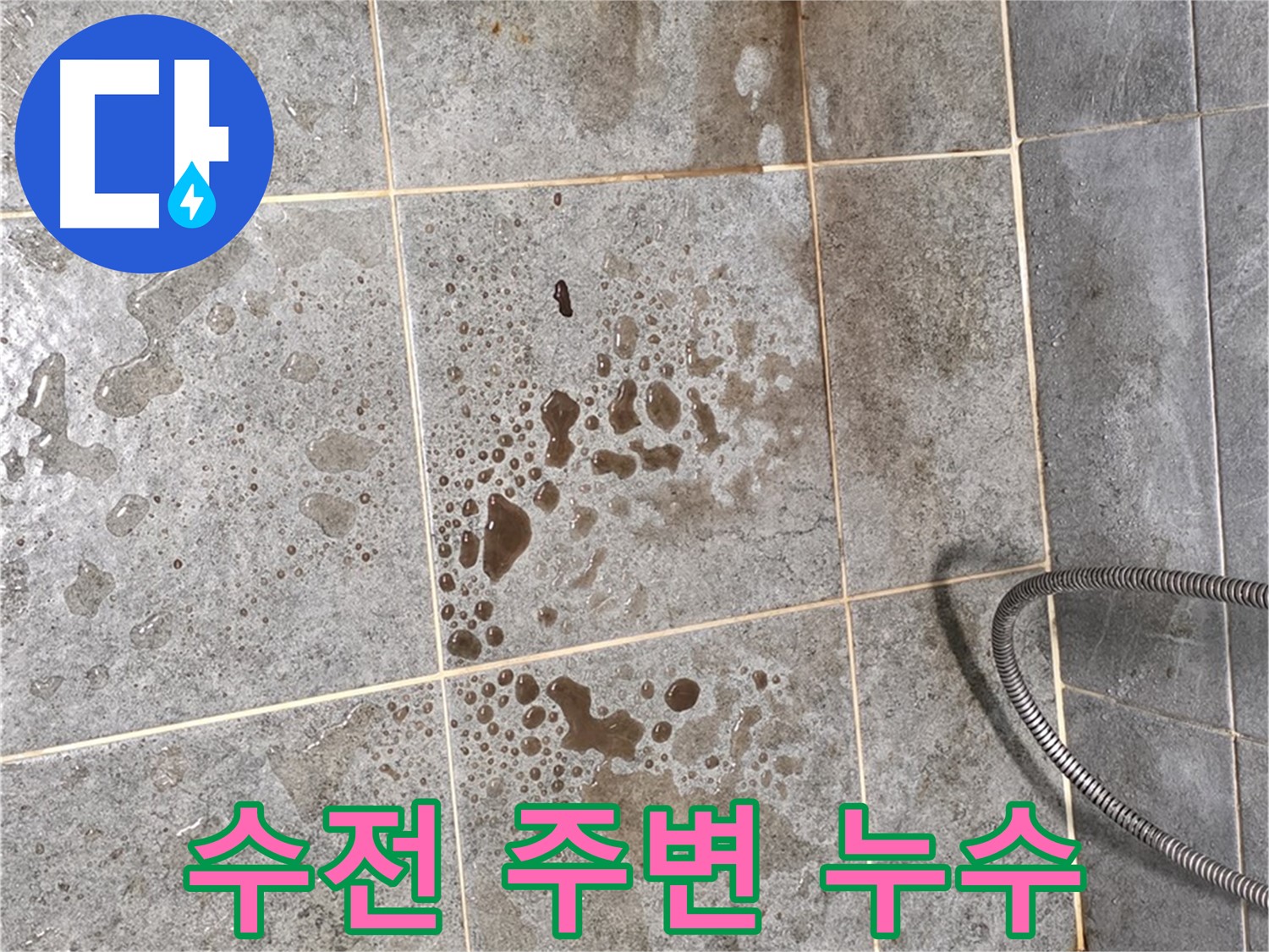 샤워기 수전 주변 누수 - 타일 틈새 확인 - 꼼꼼한 점검