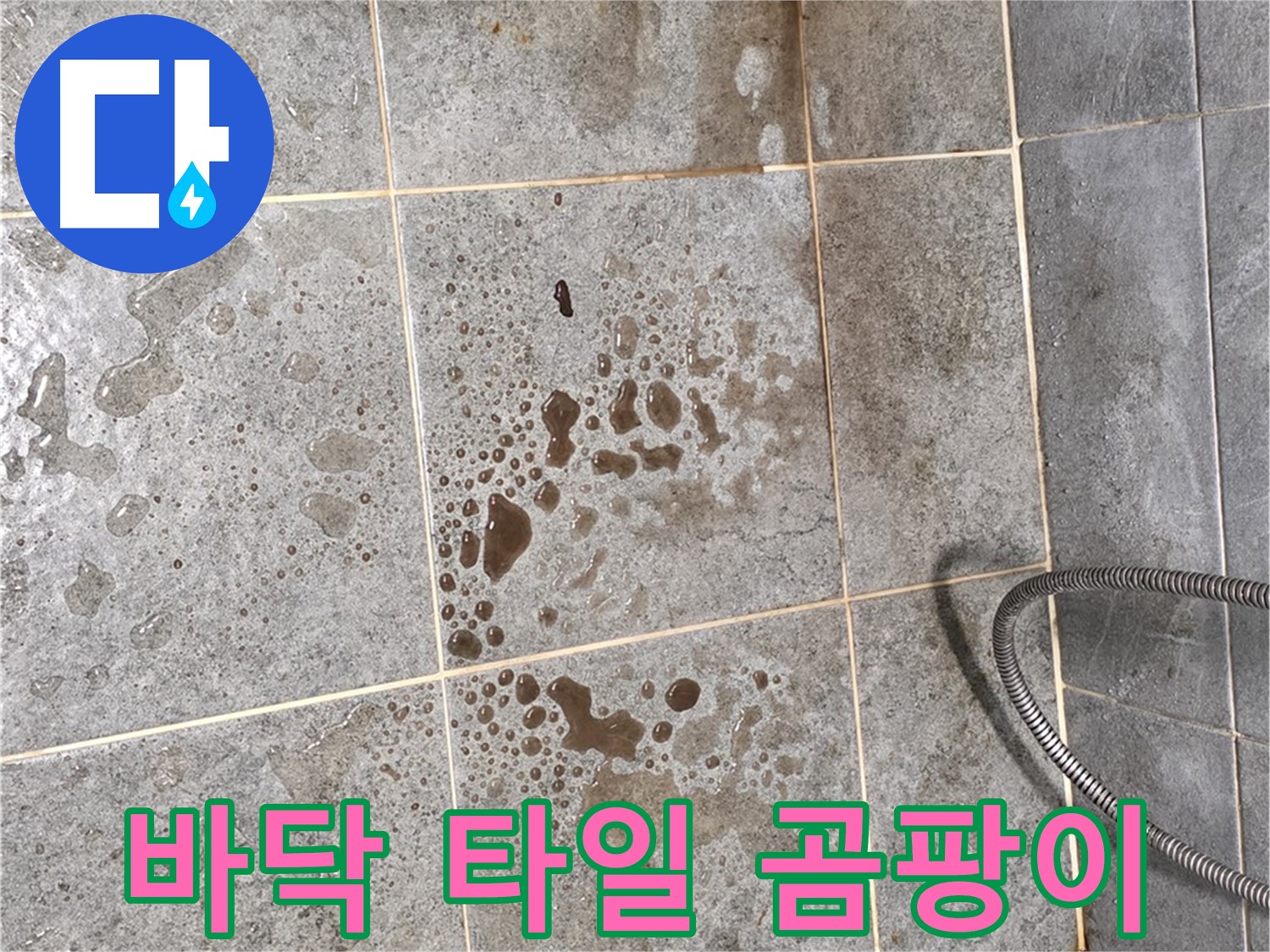 샤워기 아래 타일 누수 - 곰팡이 발생 - 습기