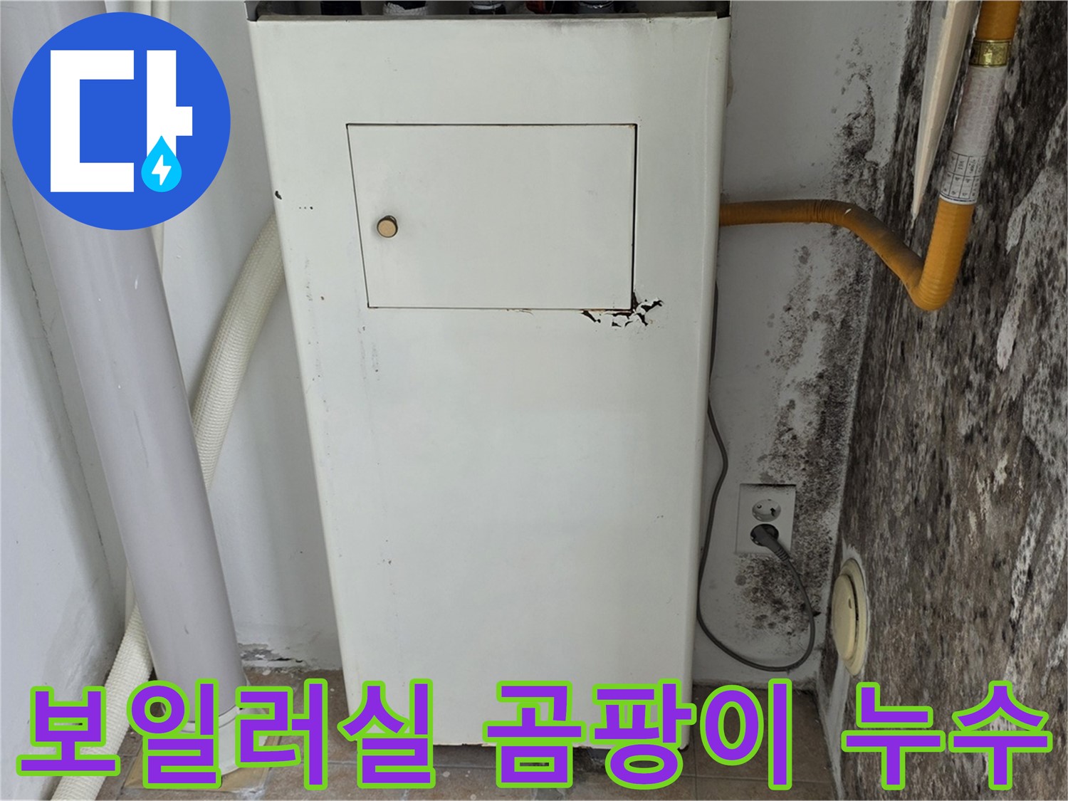 오래된 보일러실 벽면의 심각한 곰팡이 - 누수 문제 해결을 위한 전문가의 방문