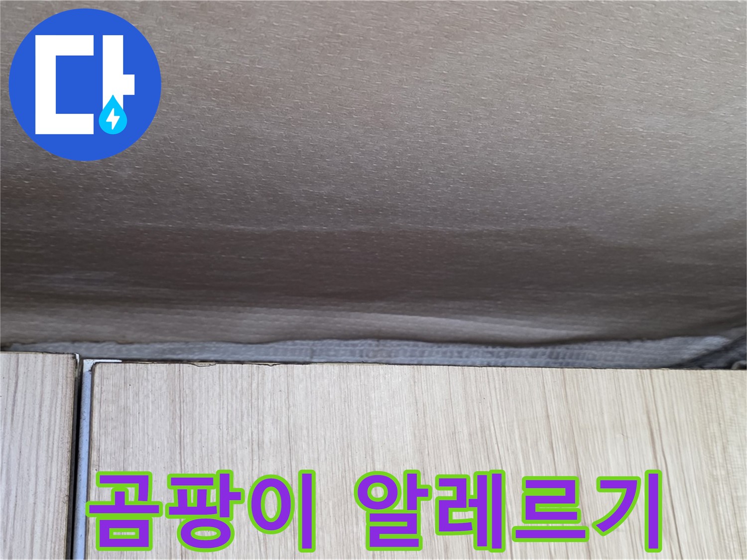용인 기흥구 누수 - 곰팡이 알레르기 유발 가능성