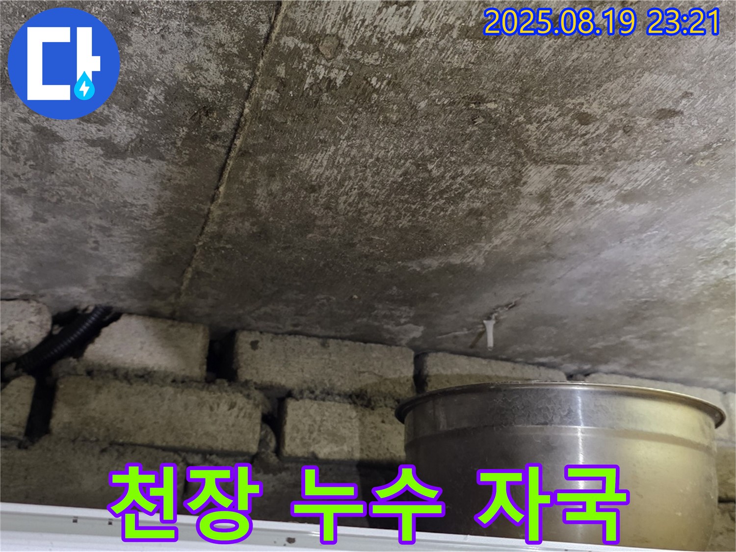 천장 누수 자국 - 천장에 선명하게 남아있는 누수 자국.