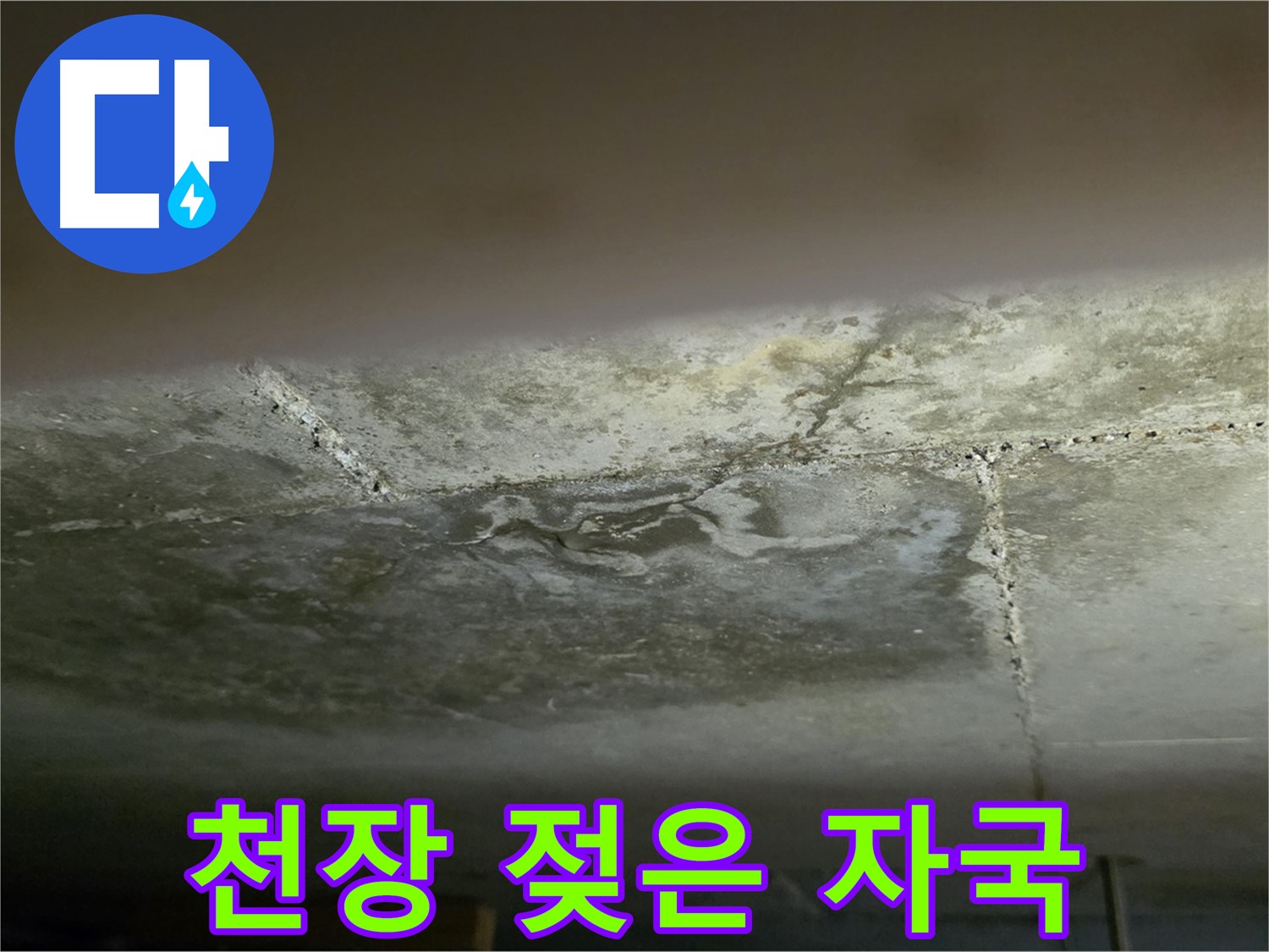 일산서구 탄현동 아파트 젖은 천장 - 24시간 긴급 누수 해결