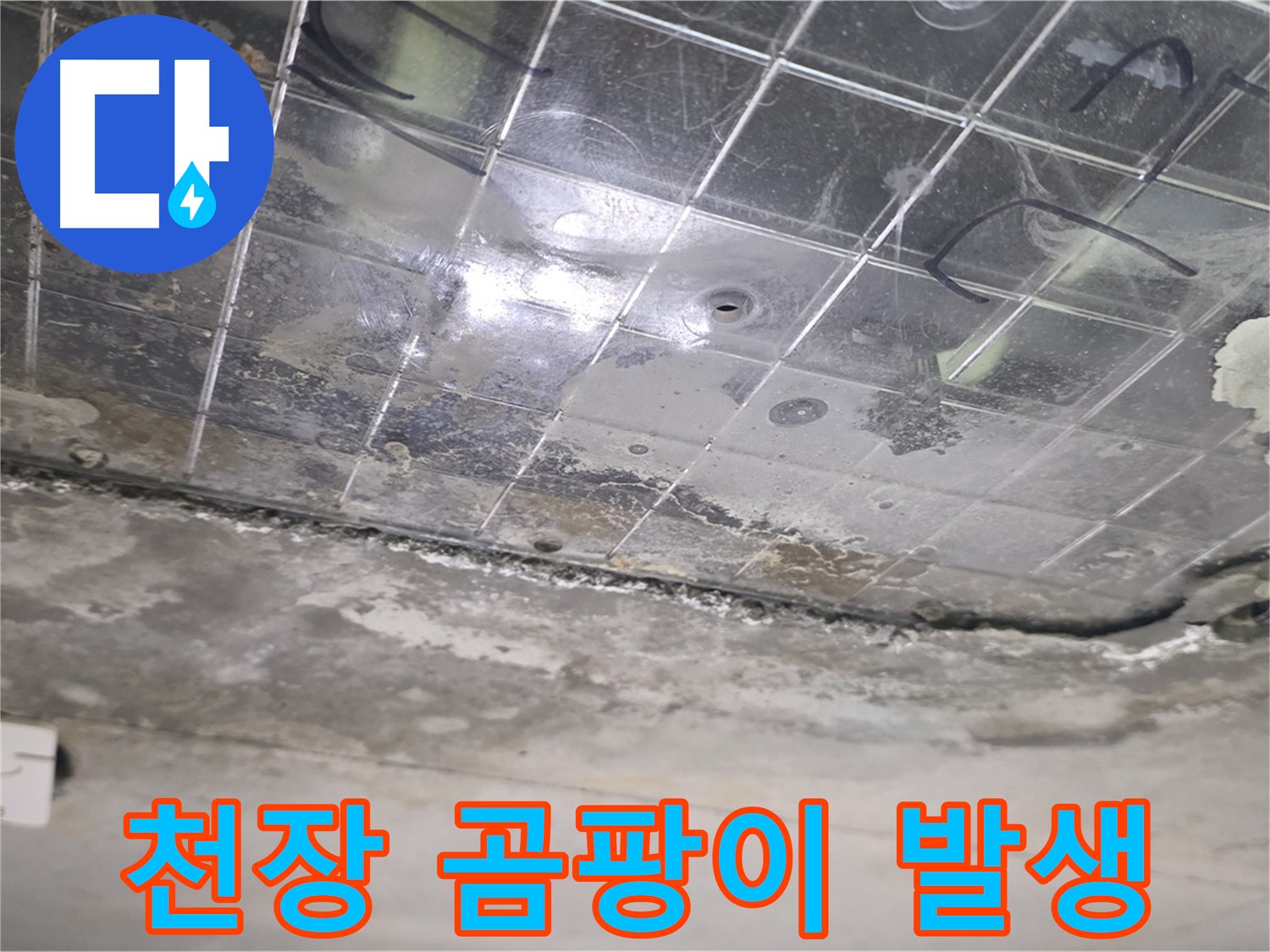 천장 곰팡이 발생 - 누수로 인해 천장에 곰팡이가 번식하고 있습니다.