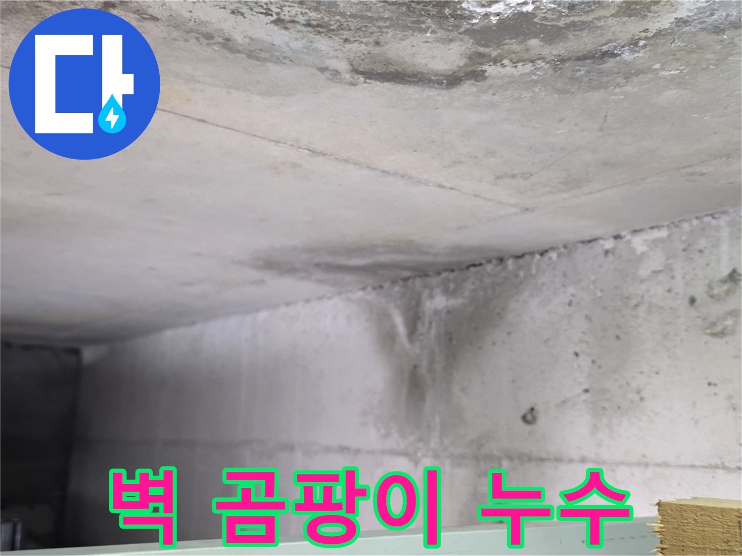 콘크리트 벽면 곰팡이와 누수 피해 - 일산서구 누수, 건강과 건물 손상