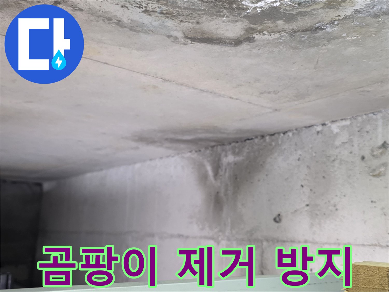 콘크리트 벽면 누수 - 덕이동 누수, 곰팡이 제거 및 방지 시공