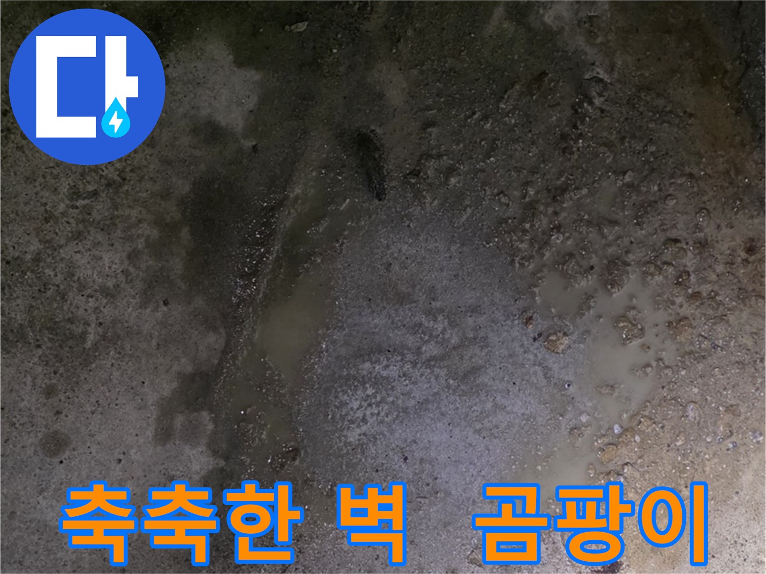 강원특별자치도 철원군 서면 와수리 누수 현장 - 벽면이 축축하고 곰팡이가 피어 누수 초기 증상을 보입니다.