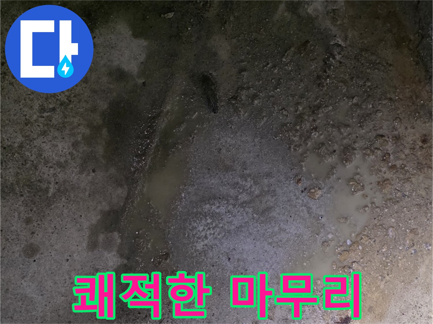 강원특별자치도 철원군 서면 와수리 누수 현장 - 완벽한 누수 해결 후 쾌적한 환경으로 마무리합니다.