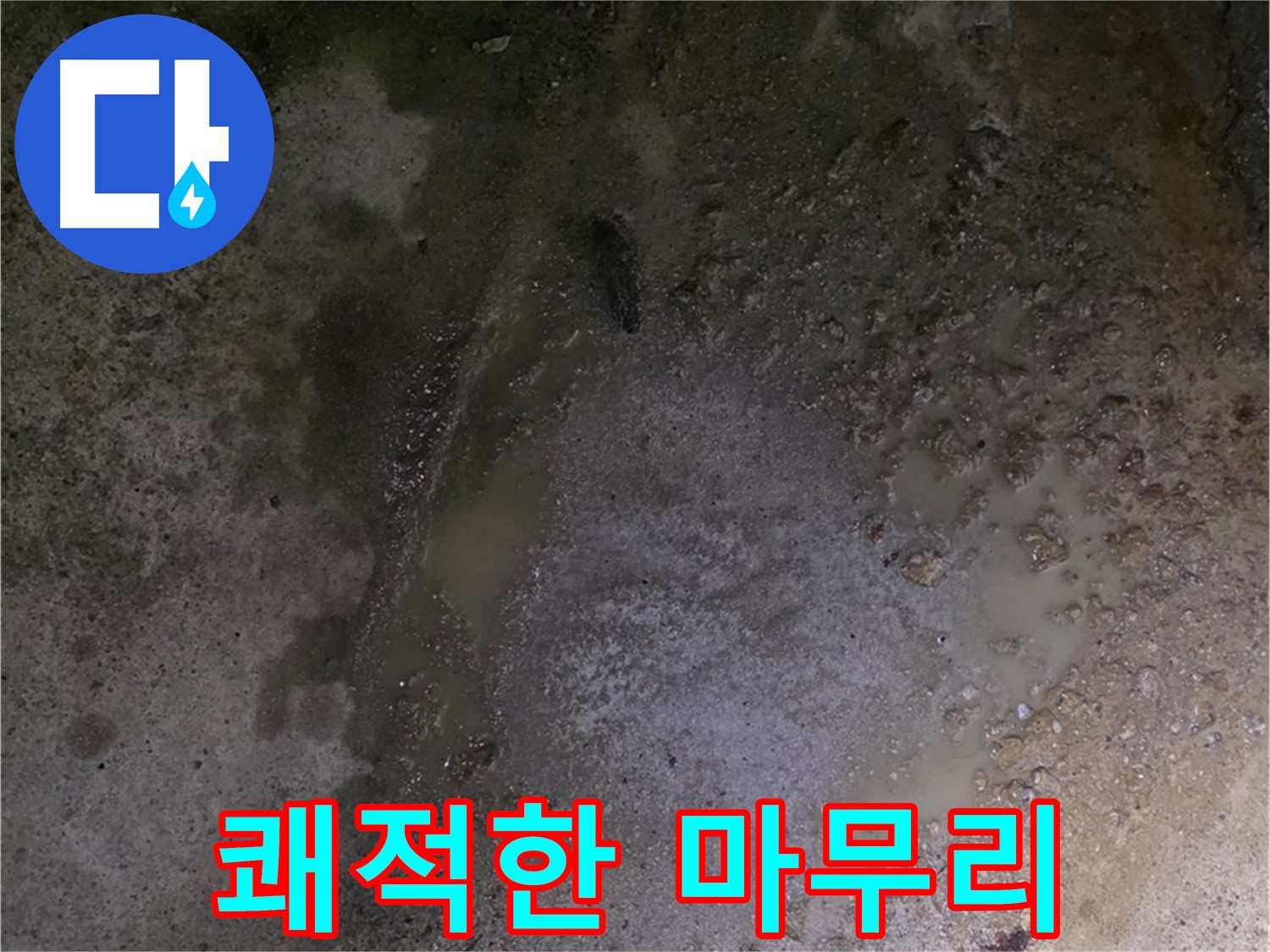 강원특별자치도 철원군 서면 와수리 누수 현장 - 완벽한 누수 해결 후 쾌적한 환경으로 마무리합니다.