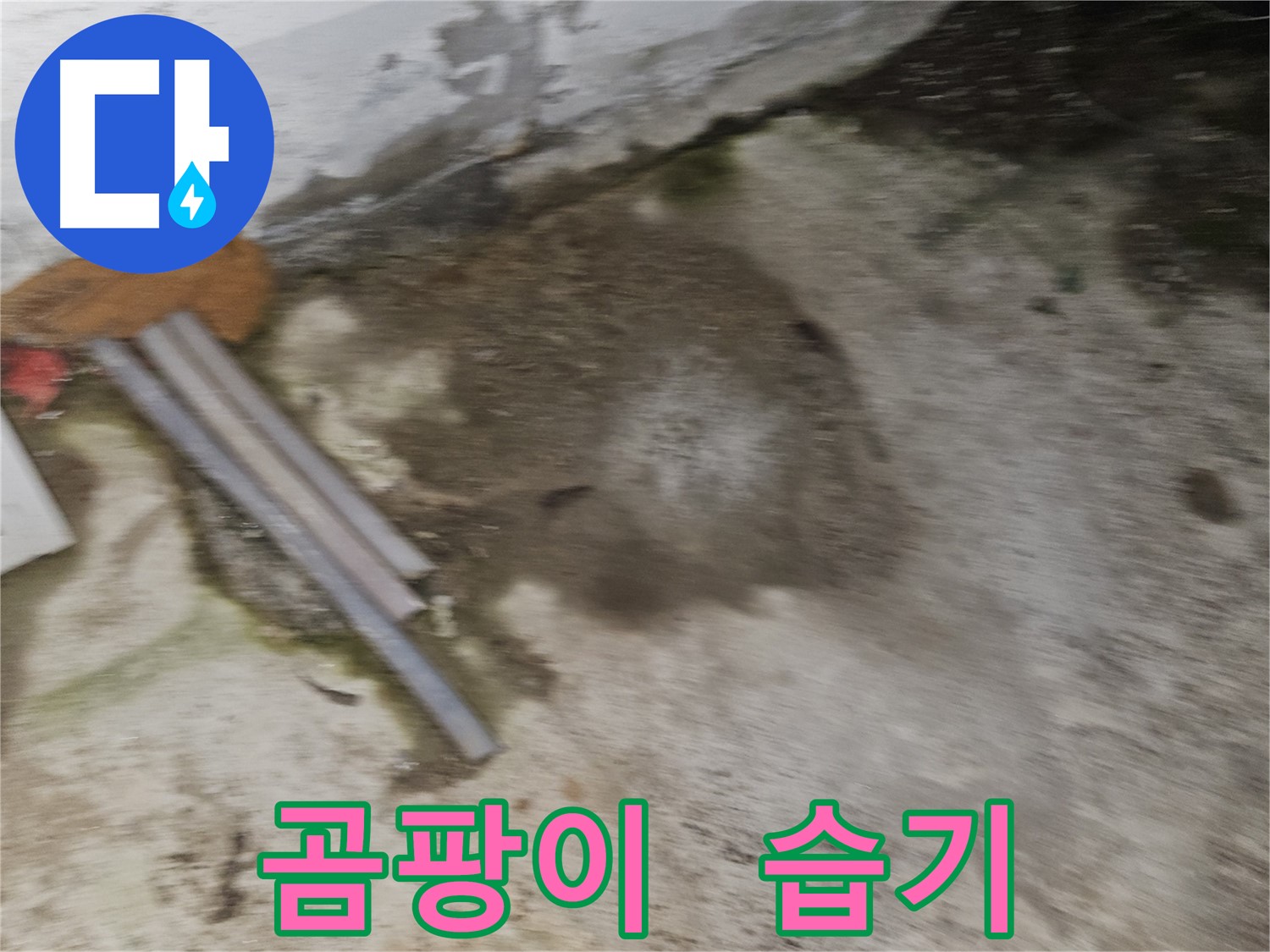 곰팡이 냄새와 습기는 누수의 신호탄입니다.