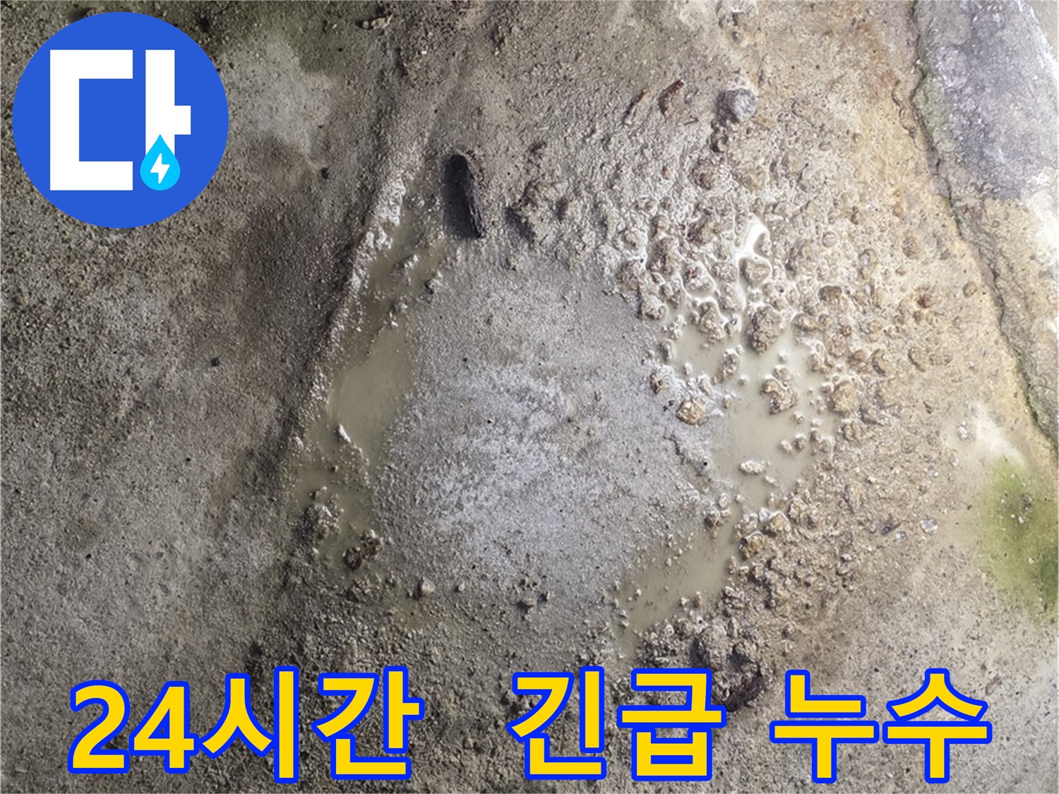 철원군 서면 와수리 누수 현장 - 24시간 긴급 누수 발생 시 즉시 해결 가능한 서비스 제공을 약속드립니다.