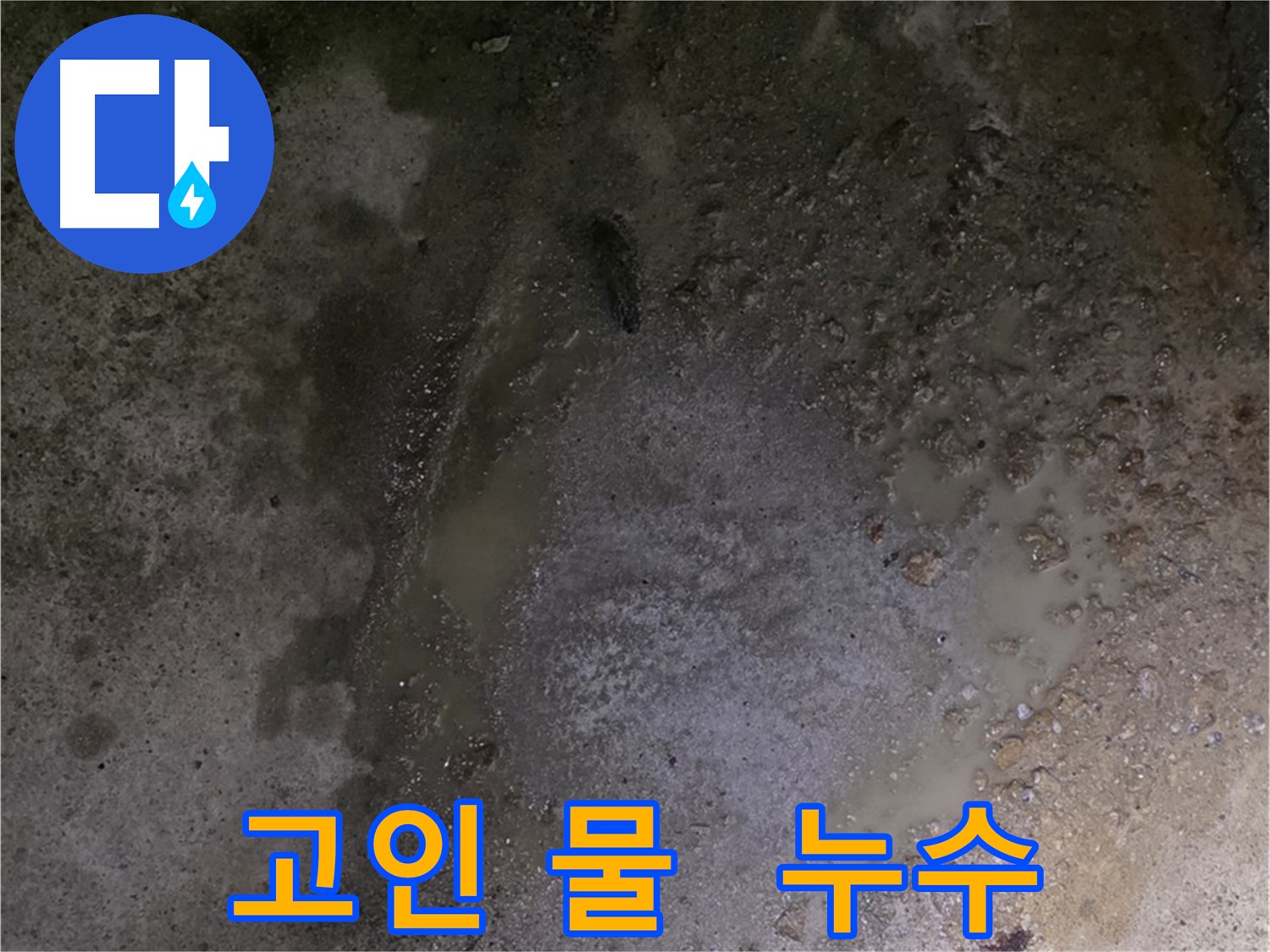 철원군 서면 와수리 누수 현장 - 바닥에 물이 고여있는 곳은 누수 지점일 가능성이 높습니다.