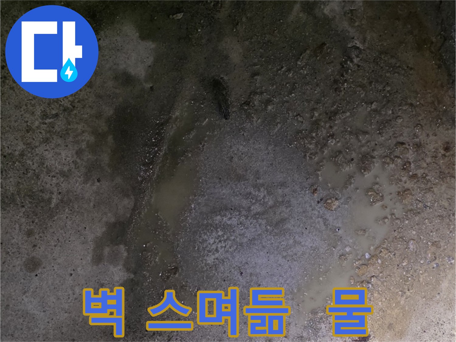 철원군 서면 와수리 누수 현장 - 벽에 물이 스며들어 얼룩이 생긴 모습입니다.
