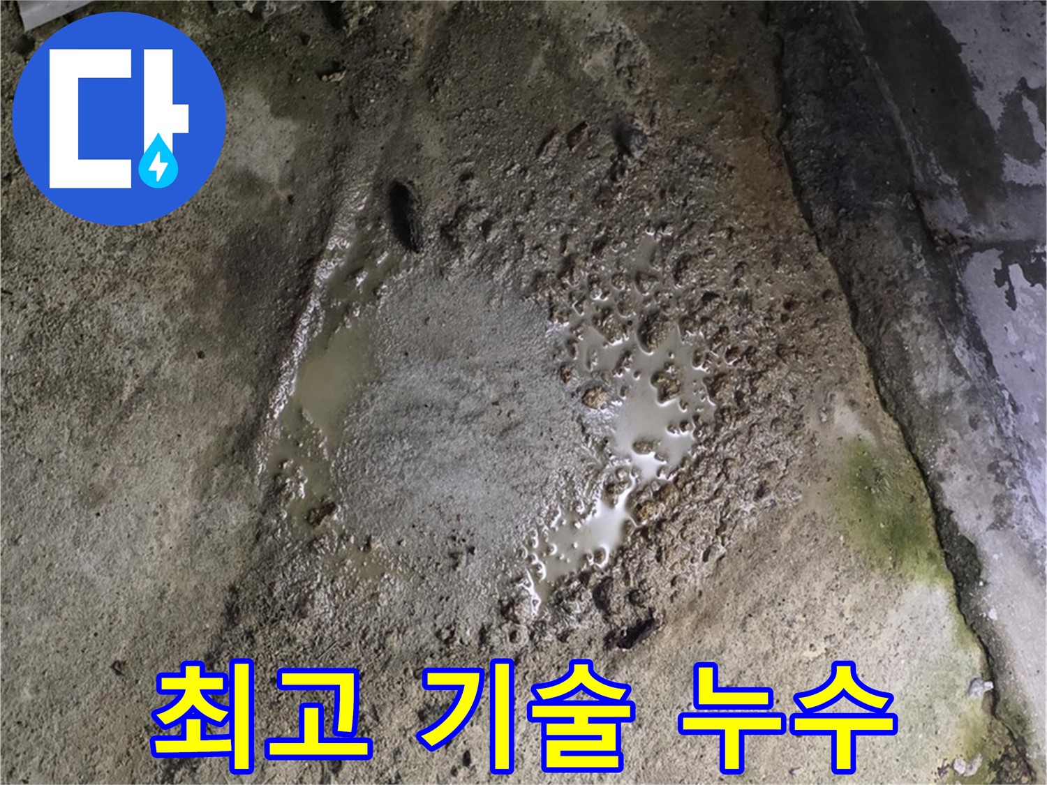 철원군 서면 와수리 - 최고의 기술력으로 누수 문제를 해결하는 누수탐지 전문가의 모습입니다.