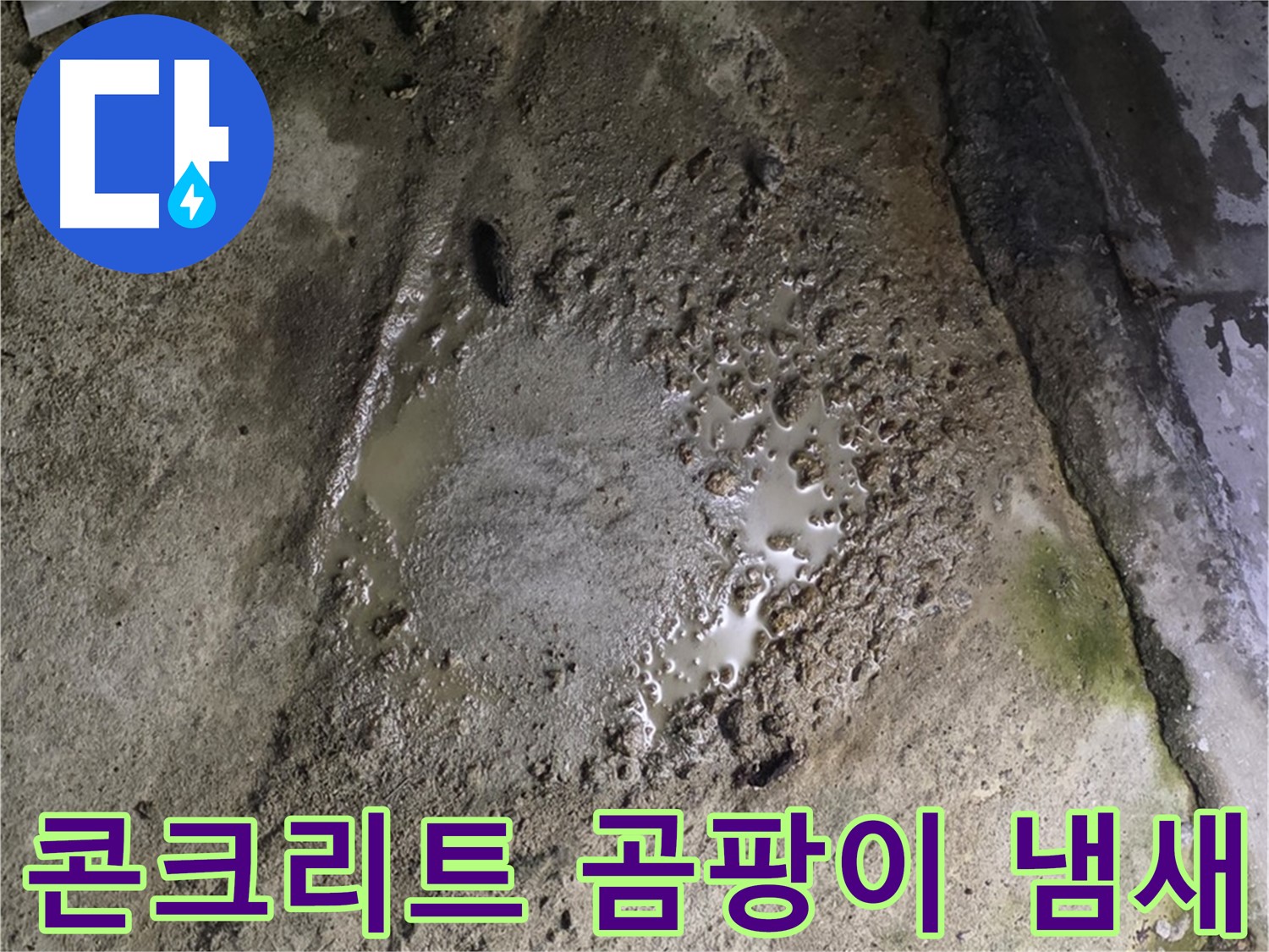 철원군 서면 와수리 - 콘크리트 건물 젖은 바닥과 함께 곰팡이 냄새가 난다면 누수를 의심하세요.