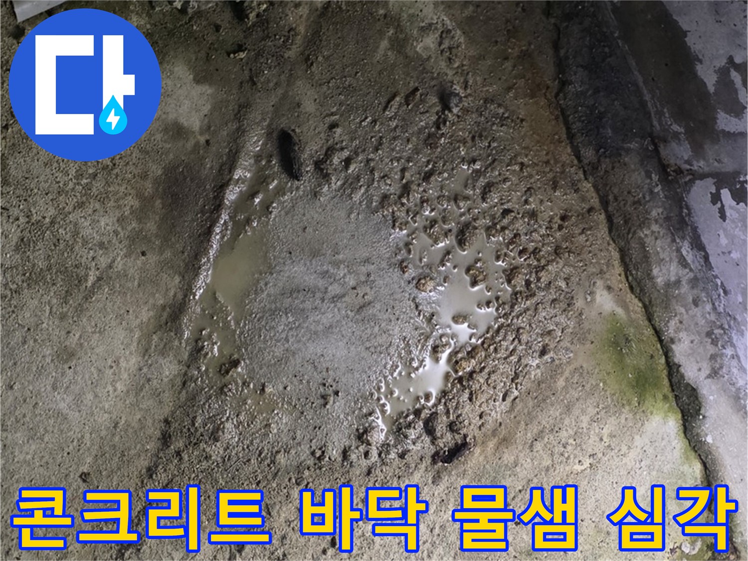 철원군 서면 와수리 - 콘크리트 바닥에서 물이 계속 새고 있는 심각한 누수 상황입니다.
