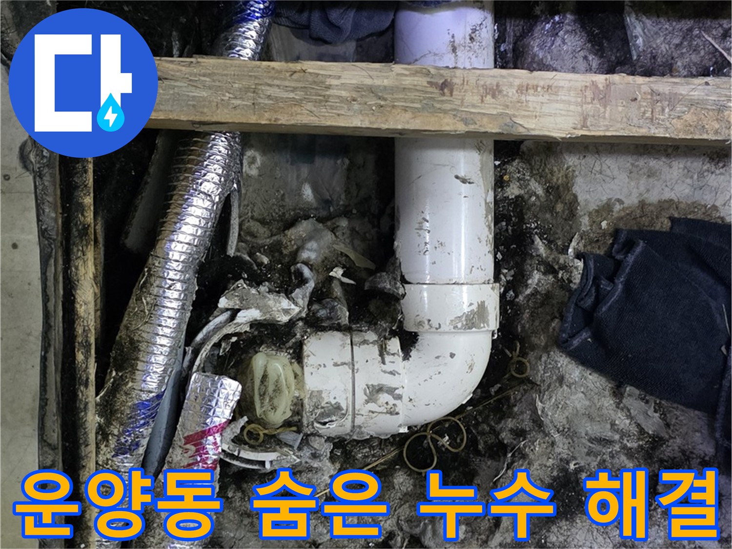 김포 운양동 누수 현장 - 정밀 탐지로 숨은 누수 해결