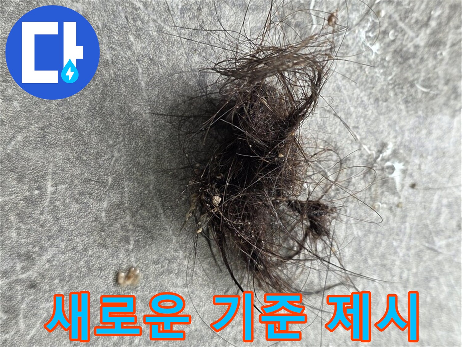 누수 탐지의 새로운 기준 제시 - 정확하고 신뢰할 수 있는 차별화된 누수 탐지 서비스를 제공합니다.