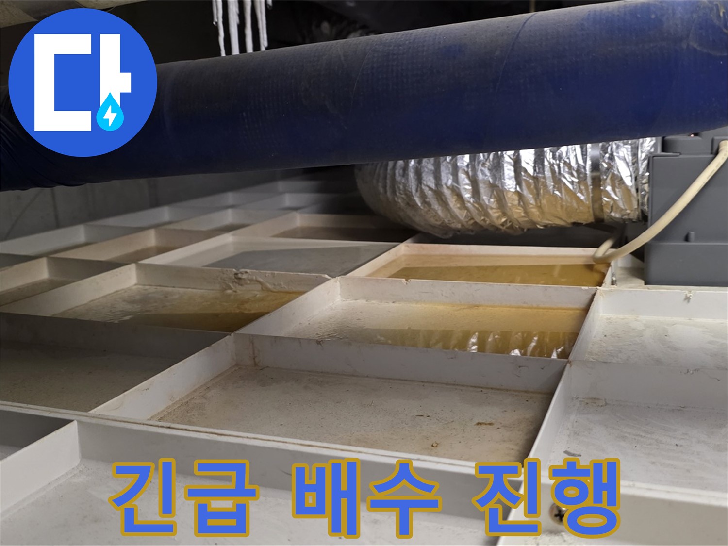 건물 하부 격자 누수 긴급 배수 작업 - 물 제거