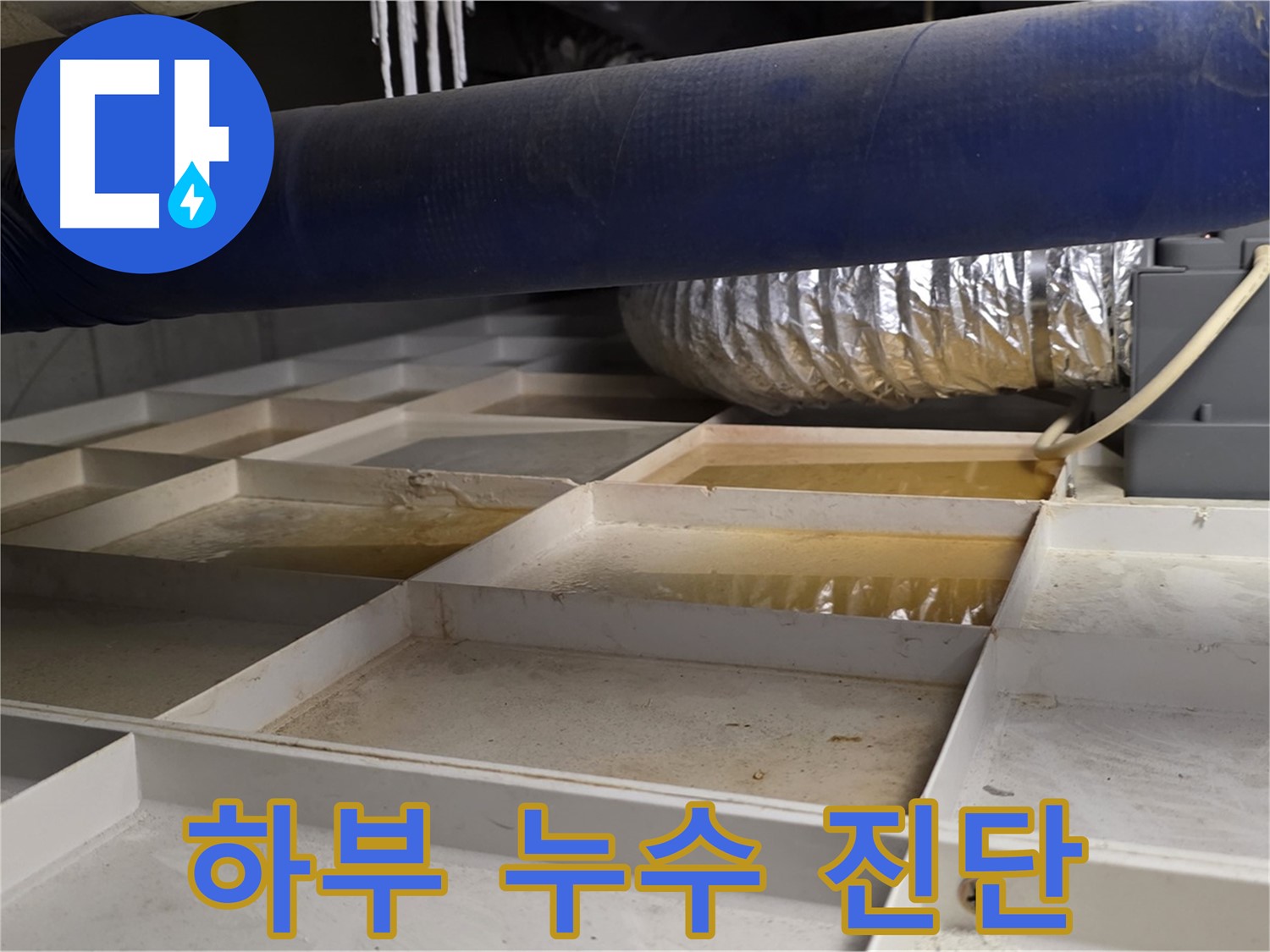 건물 하부 누수 진단 - 누수 위치를 파악하기 위한 정밀 점검