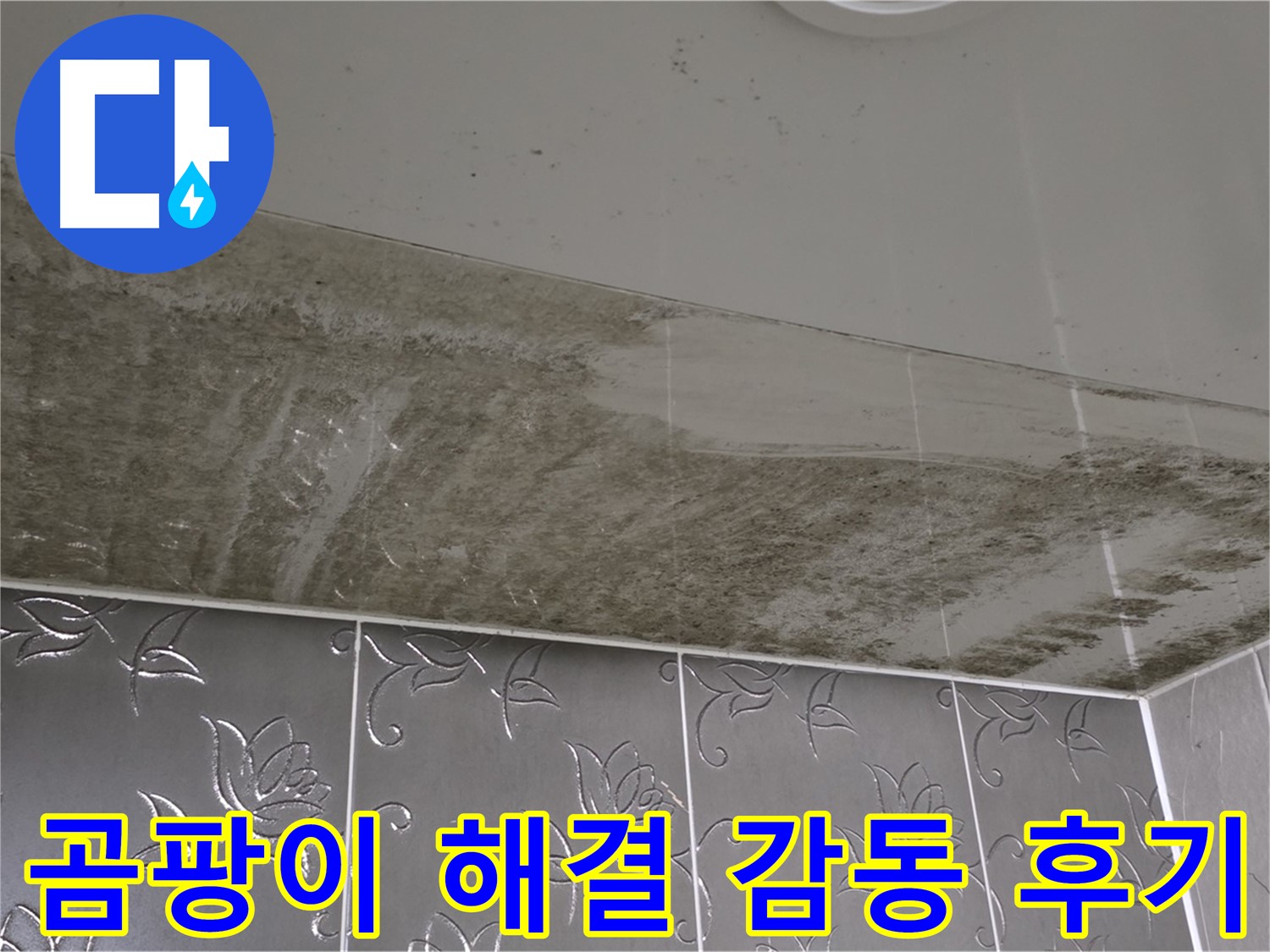 곰팡이 욕실 - 완벽하게 해결된 후 고객님의 감동 후기가 증명!