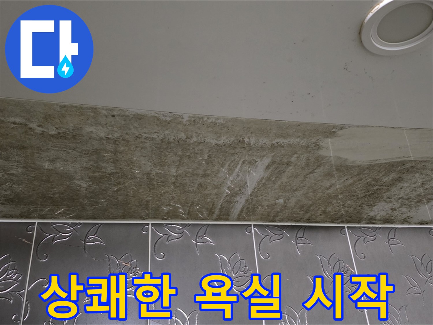 곰팡이 핀 화장실 천장 - 곰팡이 걱정 끝, 상쾌한 욕실 시작