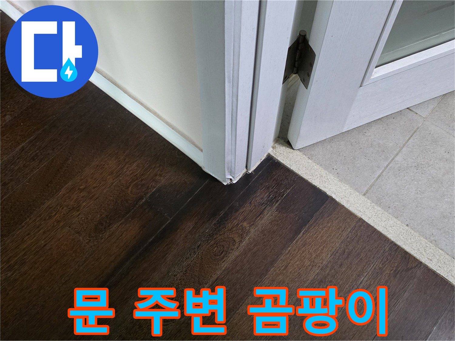 문 주변 마루 곰팡이 - 주택 누수, 완벽하게 해결해 드립니다.