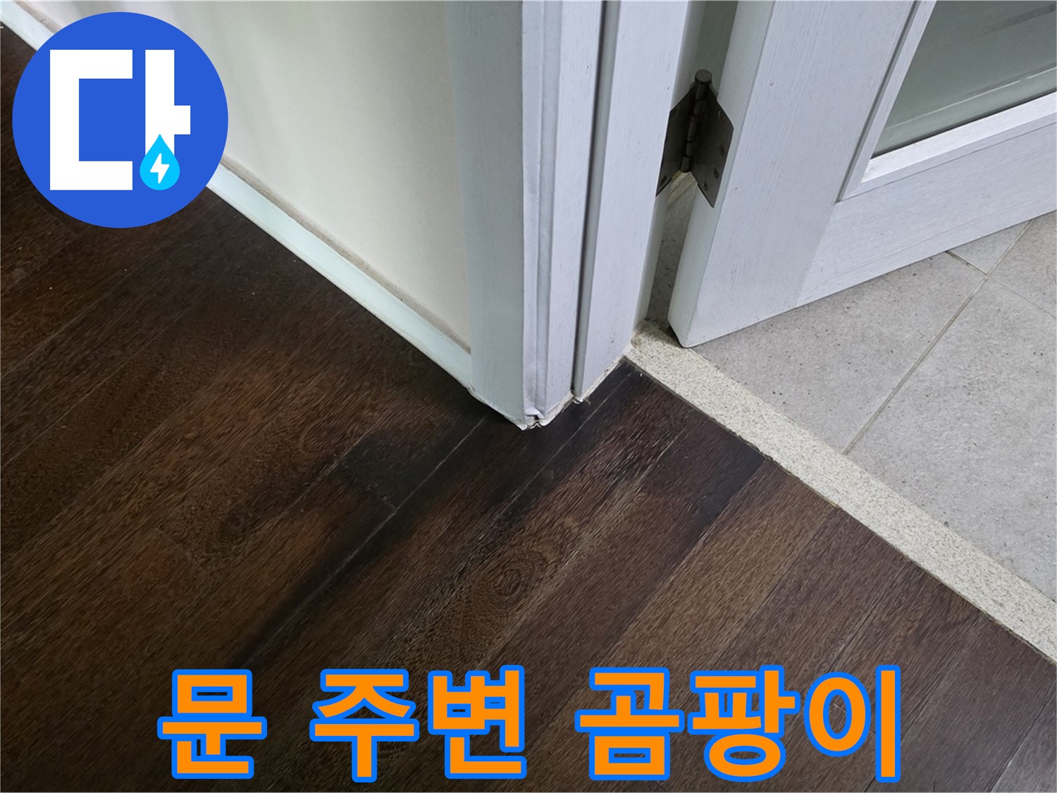 문 주변 마루 곰팡이 - 주택 누수, 완벽하게 해결해 드립니다.