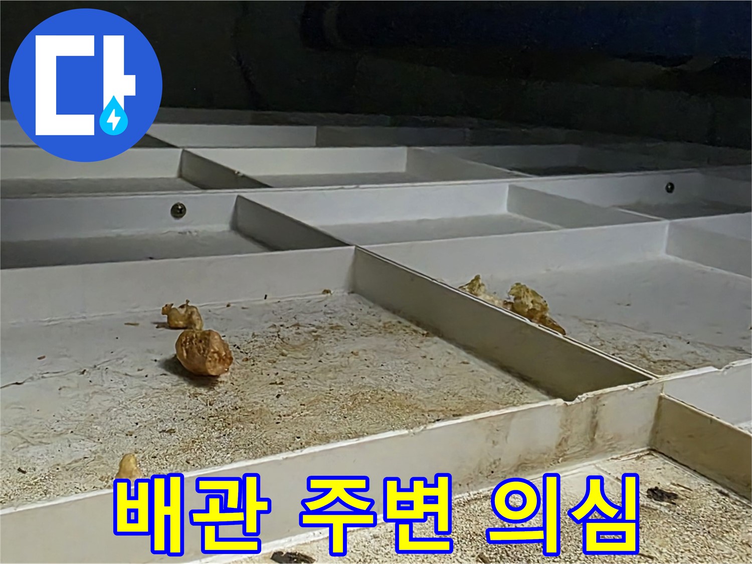 배관 주변 의심 - 천장 배관 주변 누수 의심