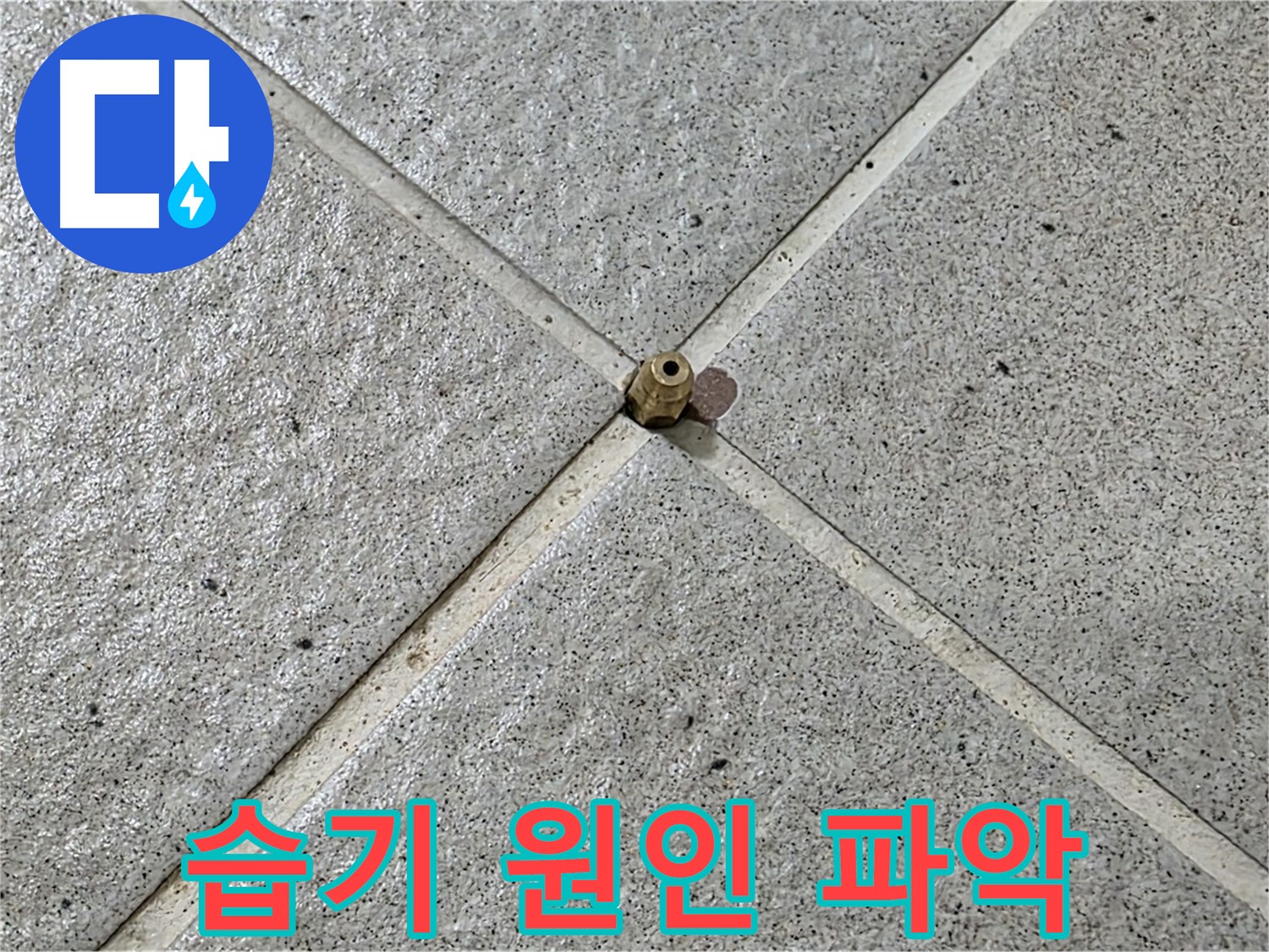 밸브 주변 습기, 꼼꼼 점검 - 운중동 산운마을 누수 해결!