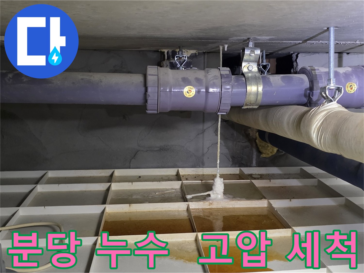 분당 오수 배관 누수 - 연결 부위 이물질 막힘, 고압 세척으로 시원하게 해결