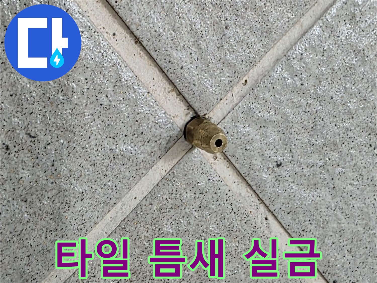 분당 운중동 산운로 누수 - 타일 틈새의 미세한 실금에서 누수 발견
