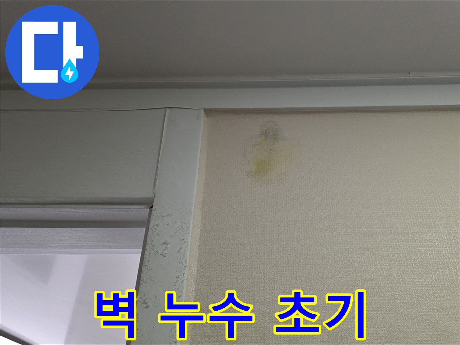 분당 운중동 산운마을 6단지 아파트 벽 누수 초기 - 신속한 초기 대응 및 진단