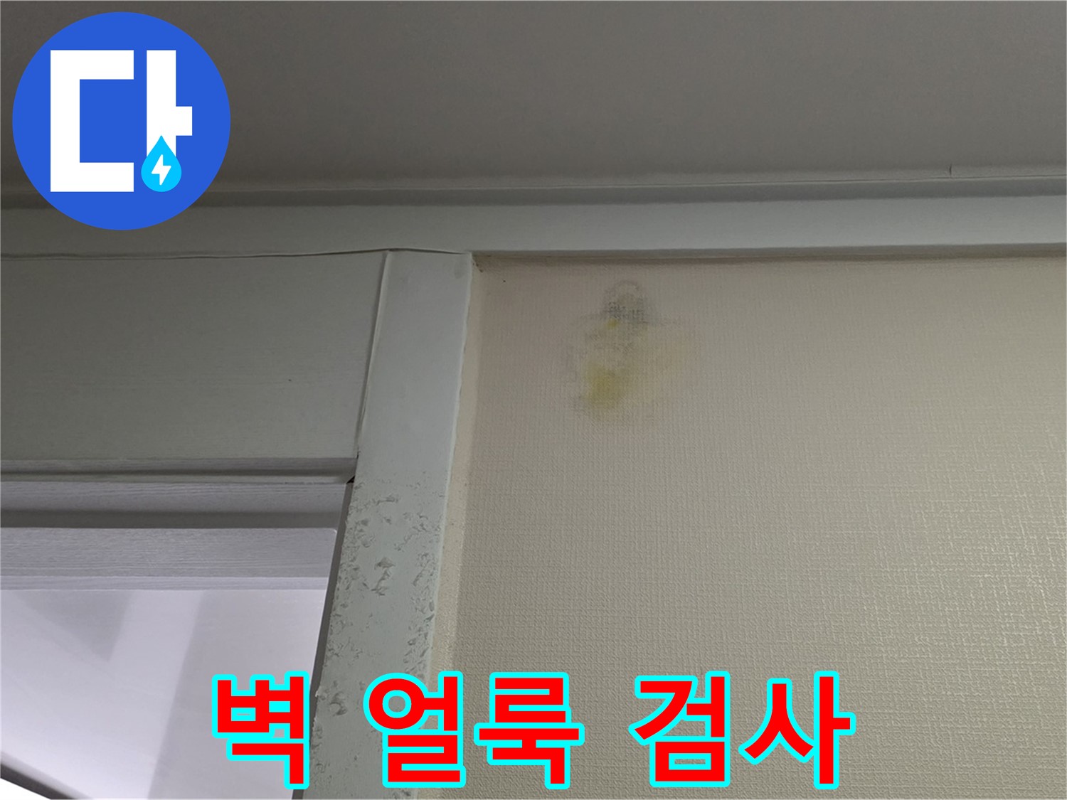 분당 운중동 산운마을 아파트 - 벽 얼룩 초기 누수 의심, 내시경 검사