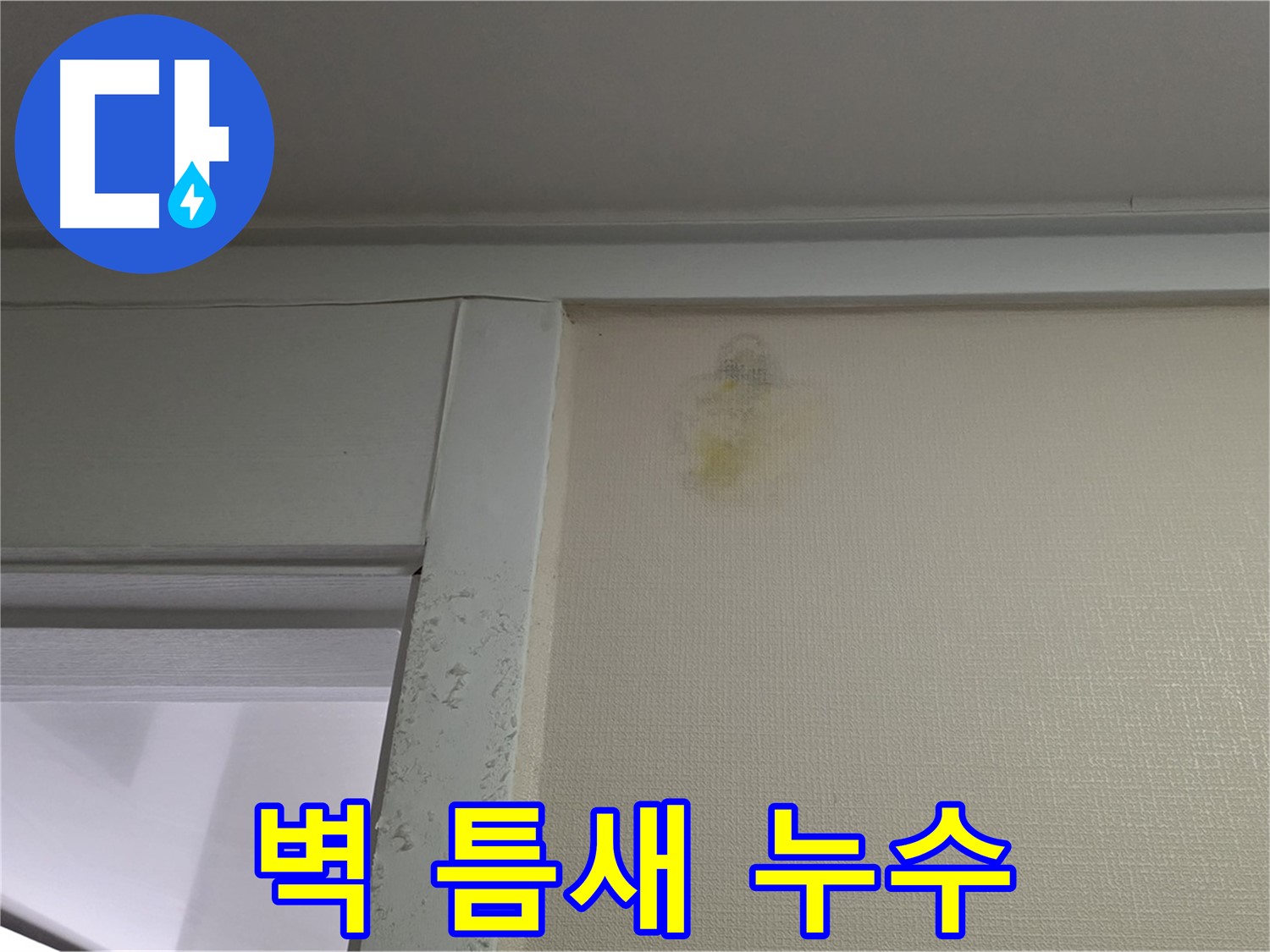 분당 운중동 산운마을 아파트 벽 틈새 누수 - 초기 발견 및 정밀 진단