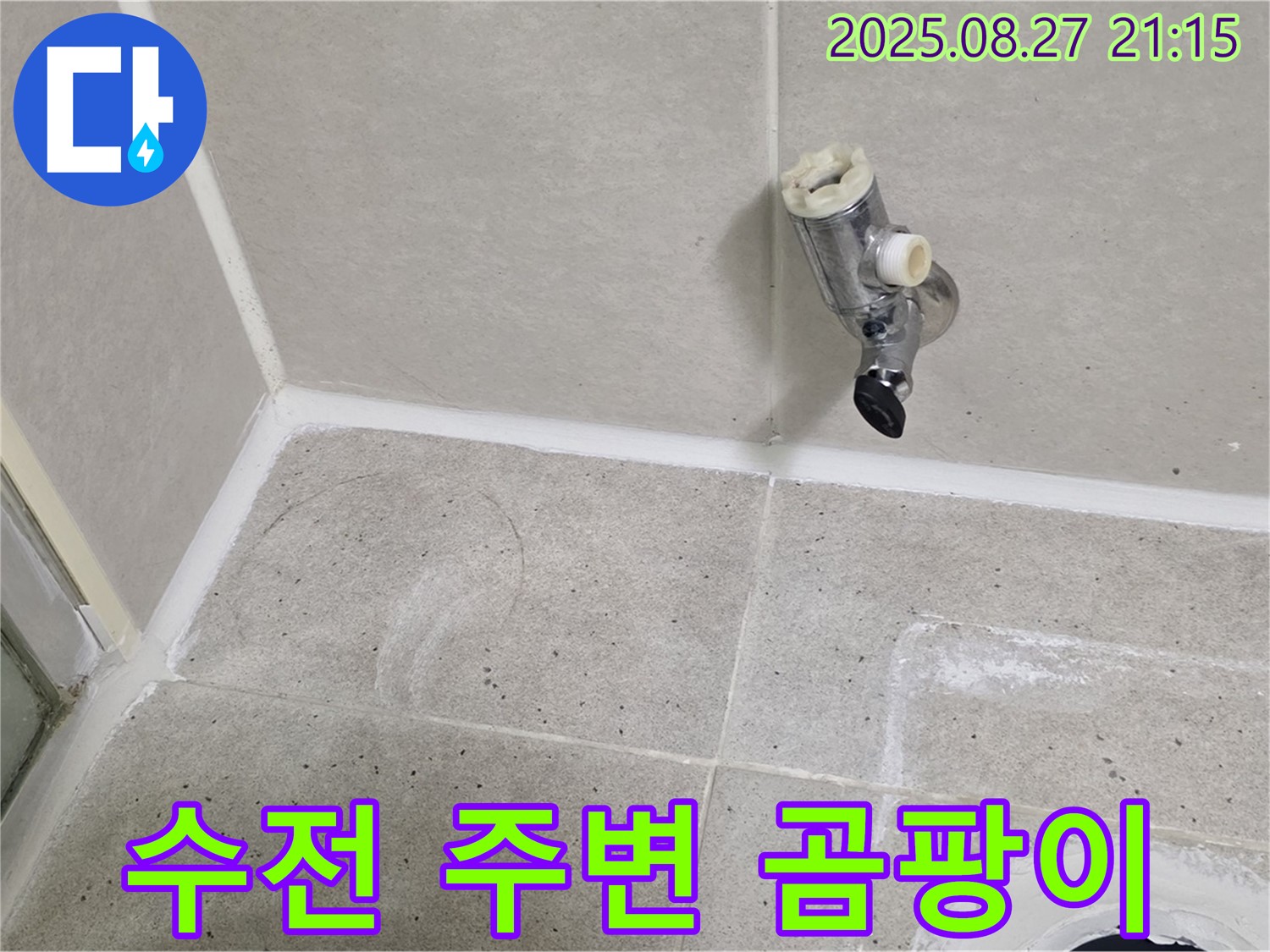 분당 운중동 샤워기 수전 주변 곰팡이 발생 - 누수 및 습기 문제 해결
