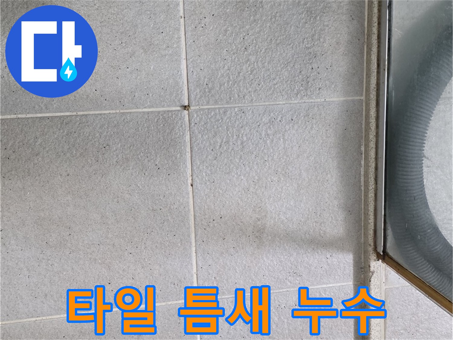 분당 운중동 화장실 타일 틈새 오염 - 틈새 오염이 심각하여 누수가 발생한 모습입니다.