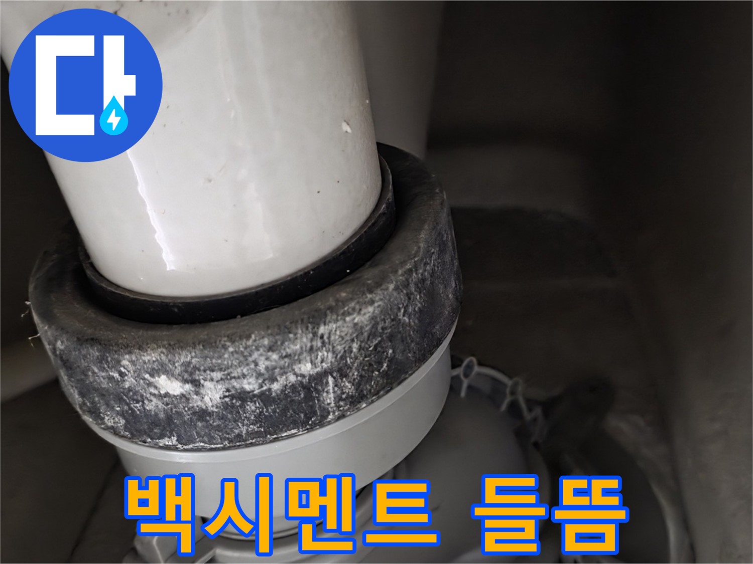 분당구 운중동 산운로 변기 하부 - 백시멘트 들뜸 현상 발견