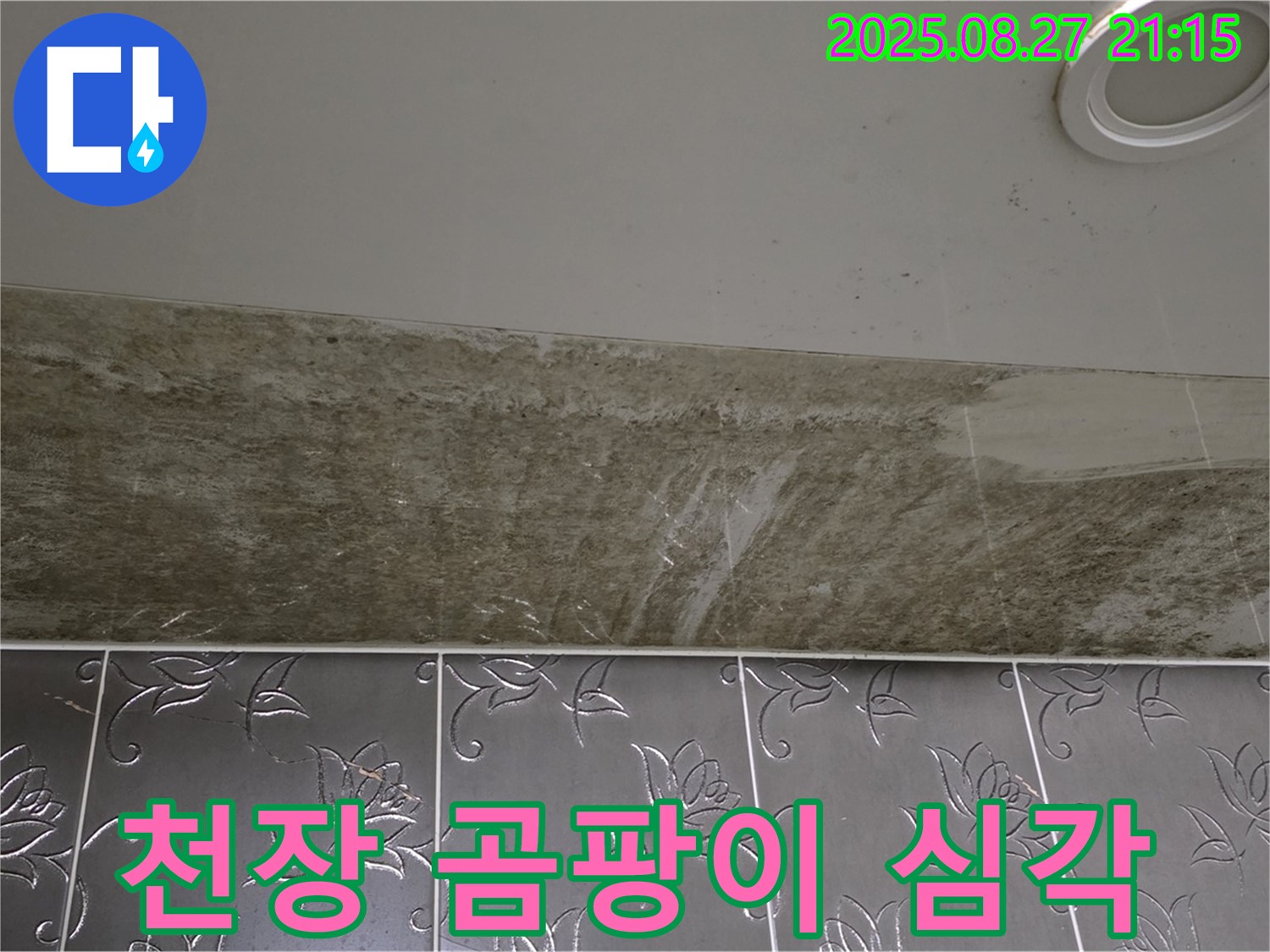 분당구 운중동 산운마을 아파트 화장실 천장 - 곰팡이가 심각하게 발생한 모습입니다.