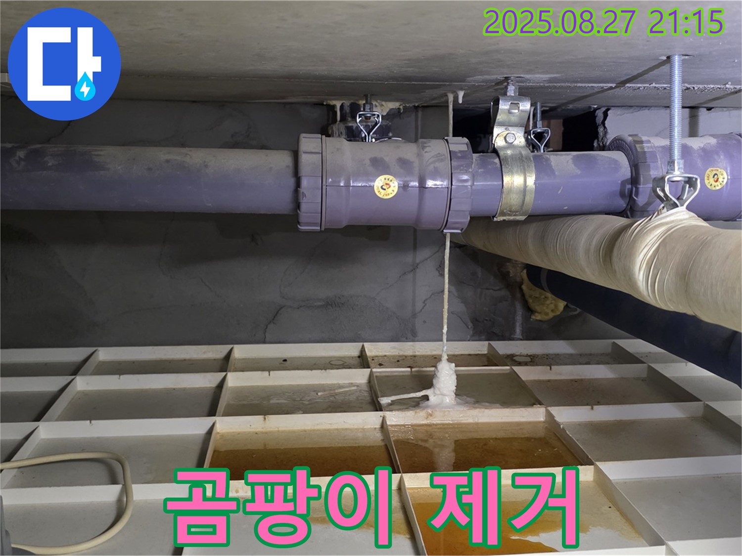 성남 분당 운중동 산운마을 6단지 - 누수 부위 주변 곰팡이 제거 및 소독 작업