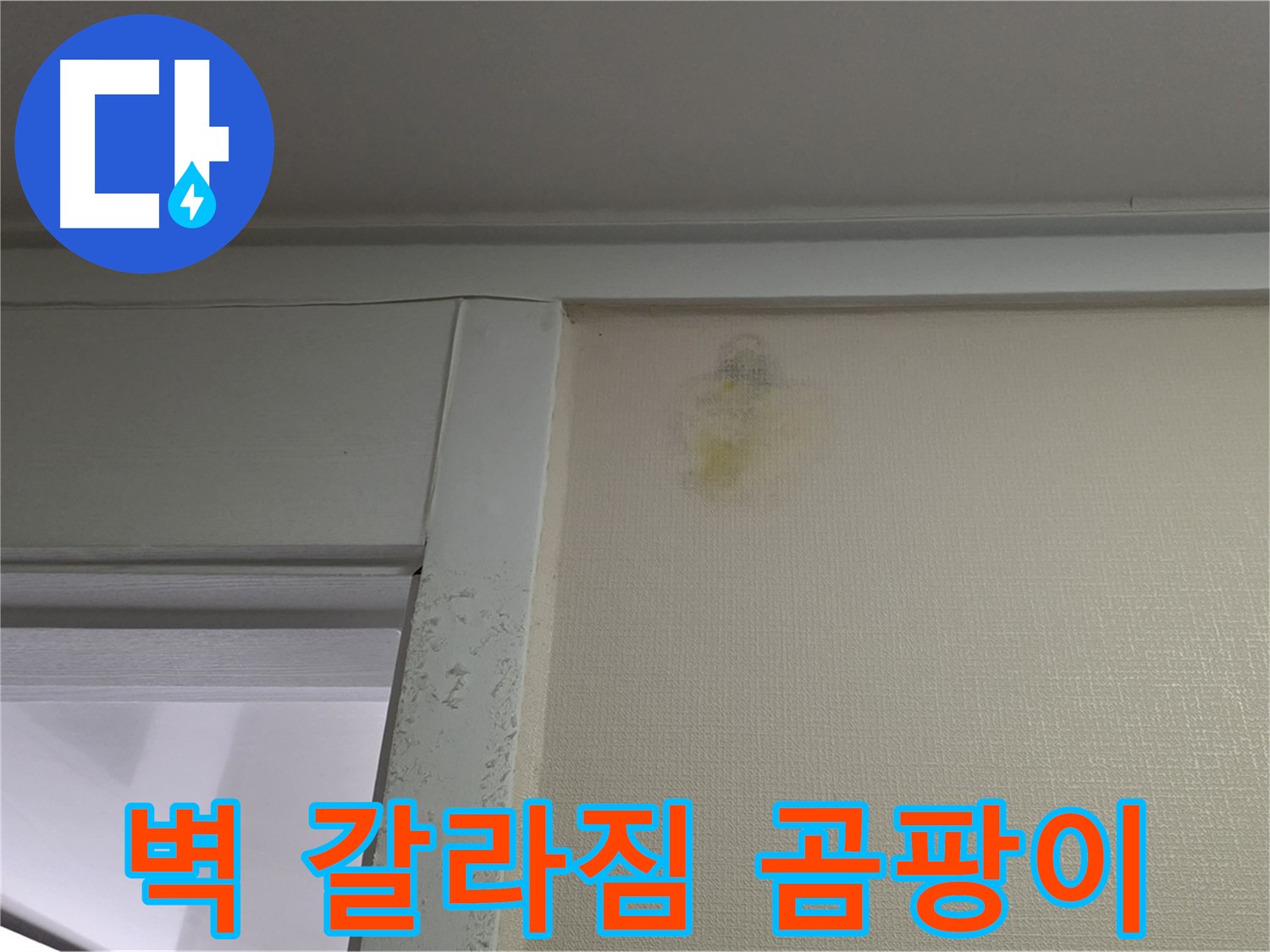 성남 분당 운중동 산운마을 아파트 - 벽 갈라짐, 습기, 곰팡이 누수 초기 의심