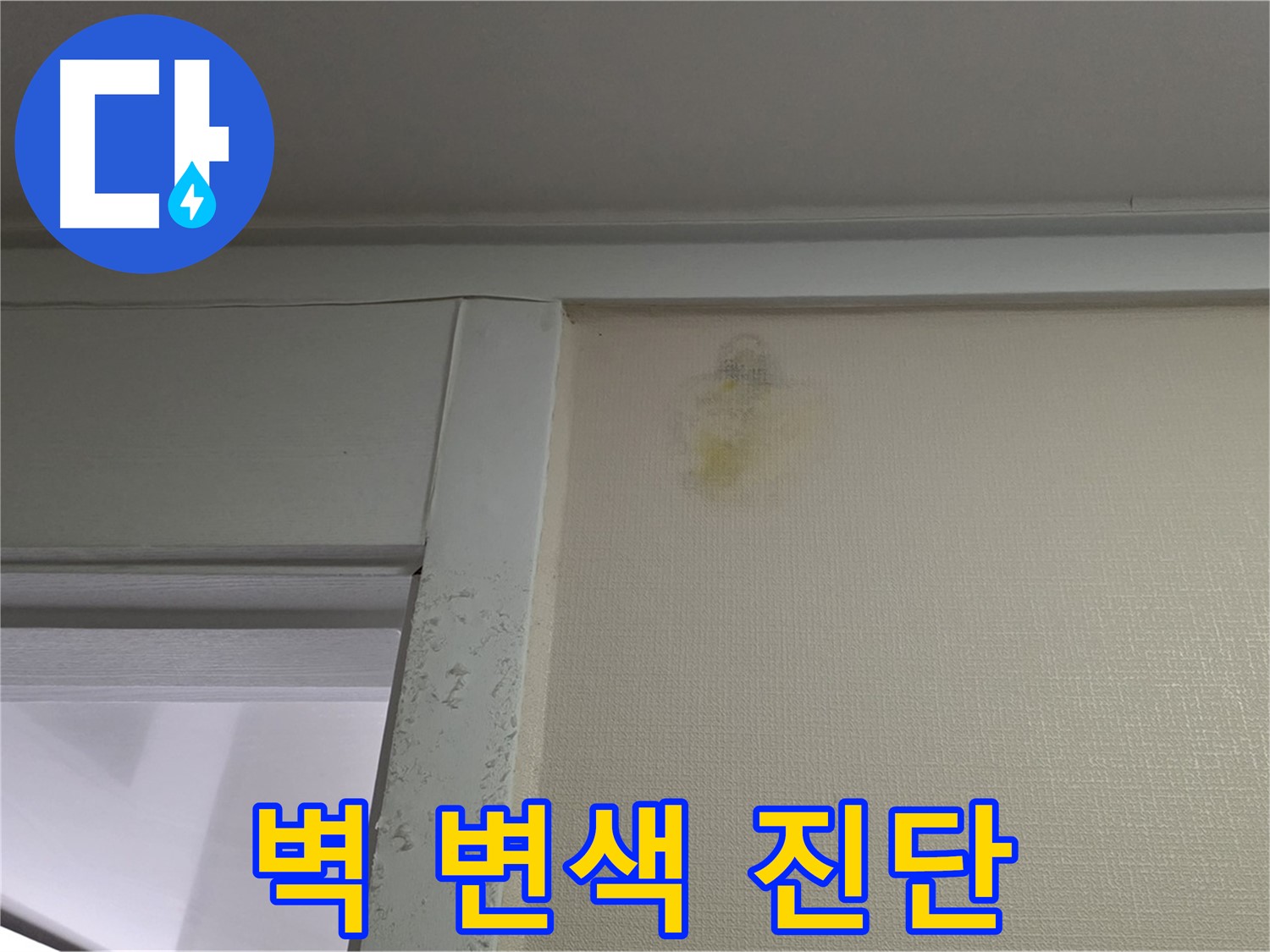 성남 분당 운중동 산운마을 아파트 벽 변색 - 누수 초기 의심