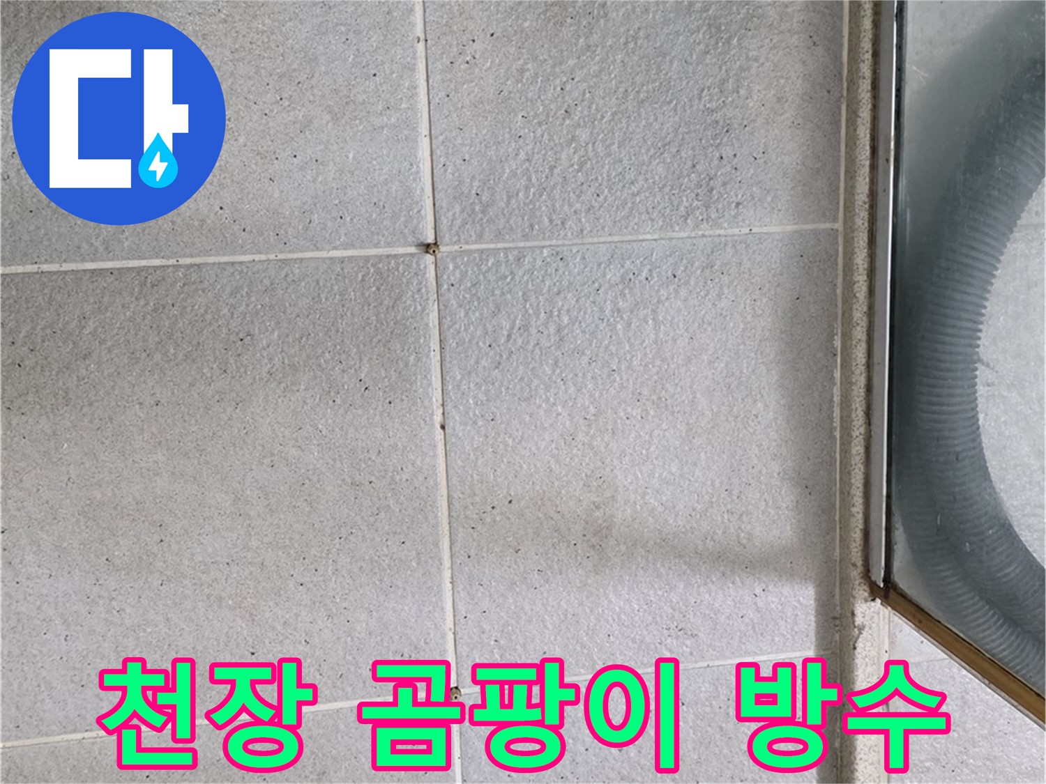 성남 분당 운중동 욕실 천장 - 곰팡이 제거 후 방수 작업으로 누수를 해결합니다.