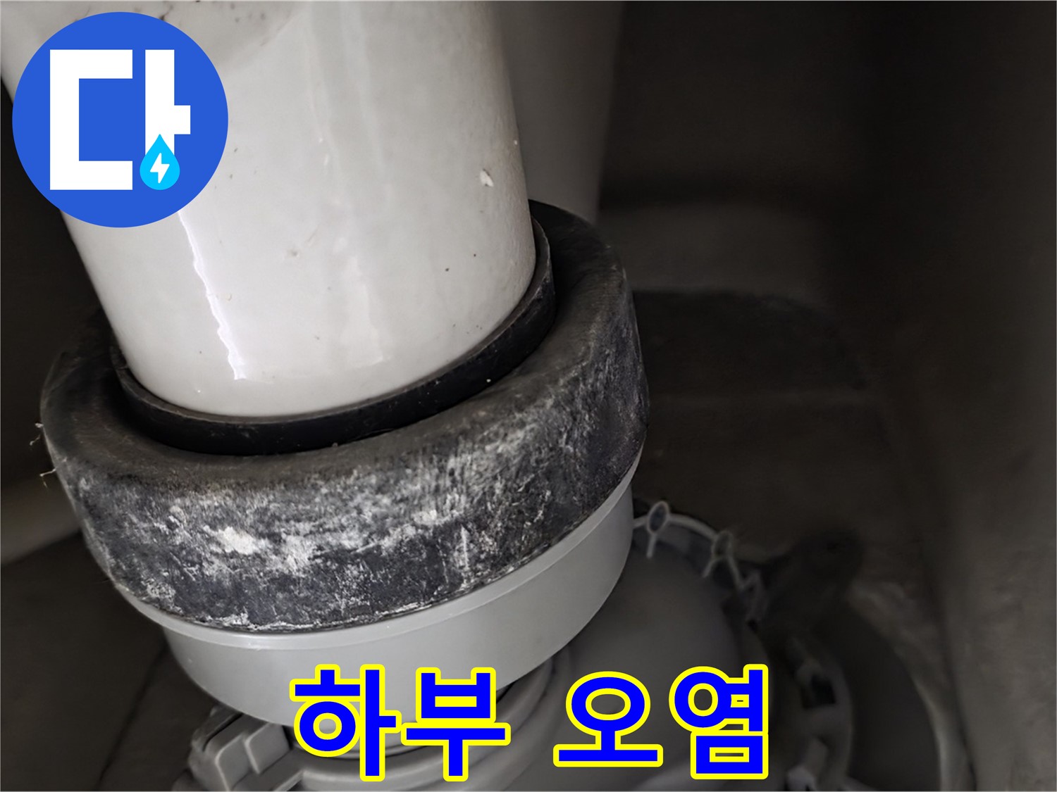 성남시 분당구 운중동 산운로 변기 누수 - 변기 하부 오염 상태를 클로즈업