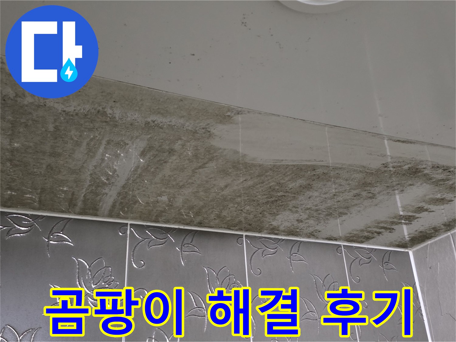 욕실 누수와 곰팡이 - 완벽하게 해결된 후 만족스러운 고객 후기