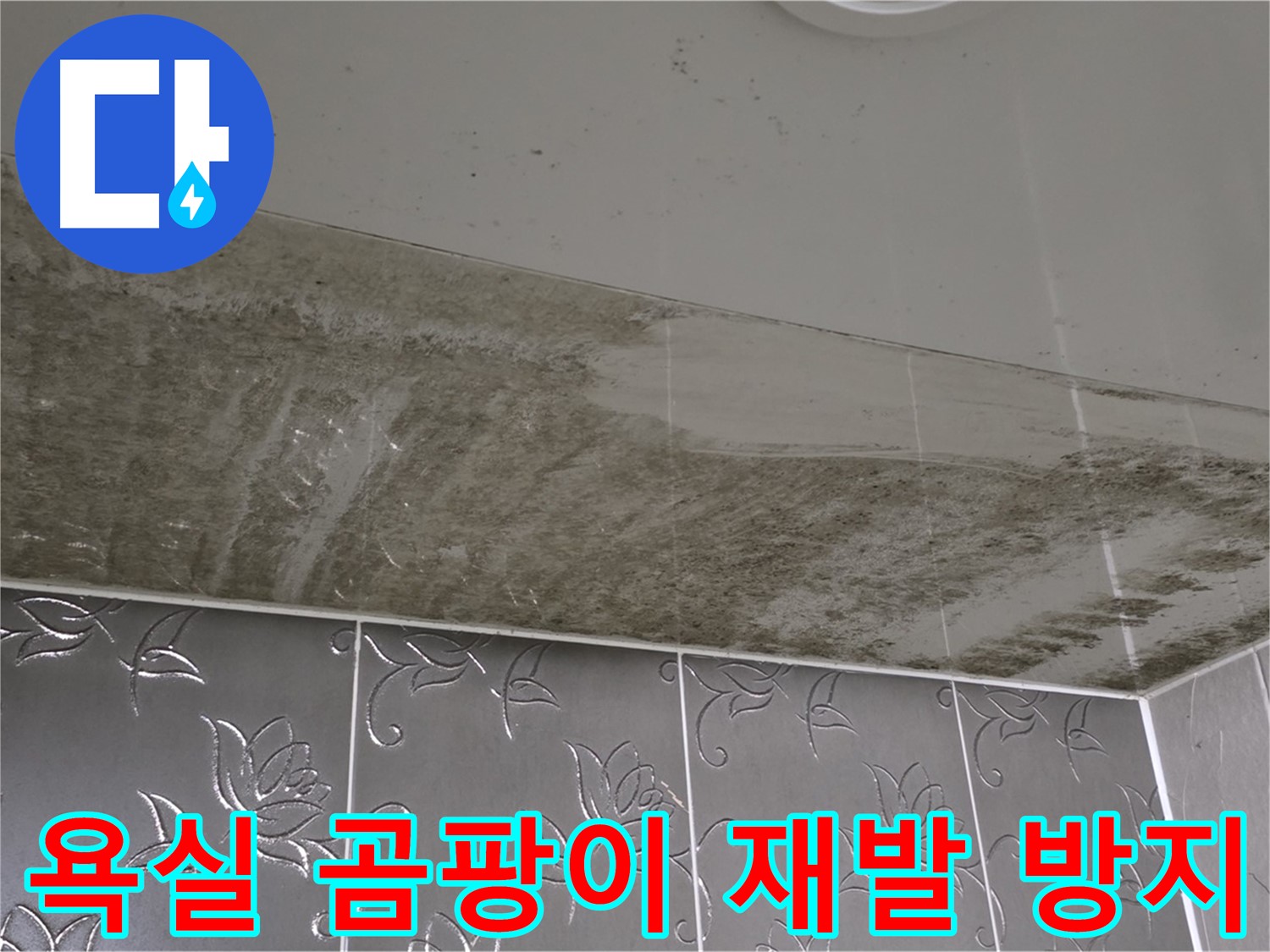 욕실 누수와 곰팡이 - 재발 방지를 위한 완벽한 시공 과정