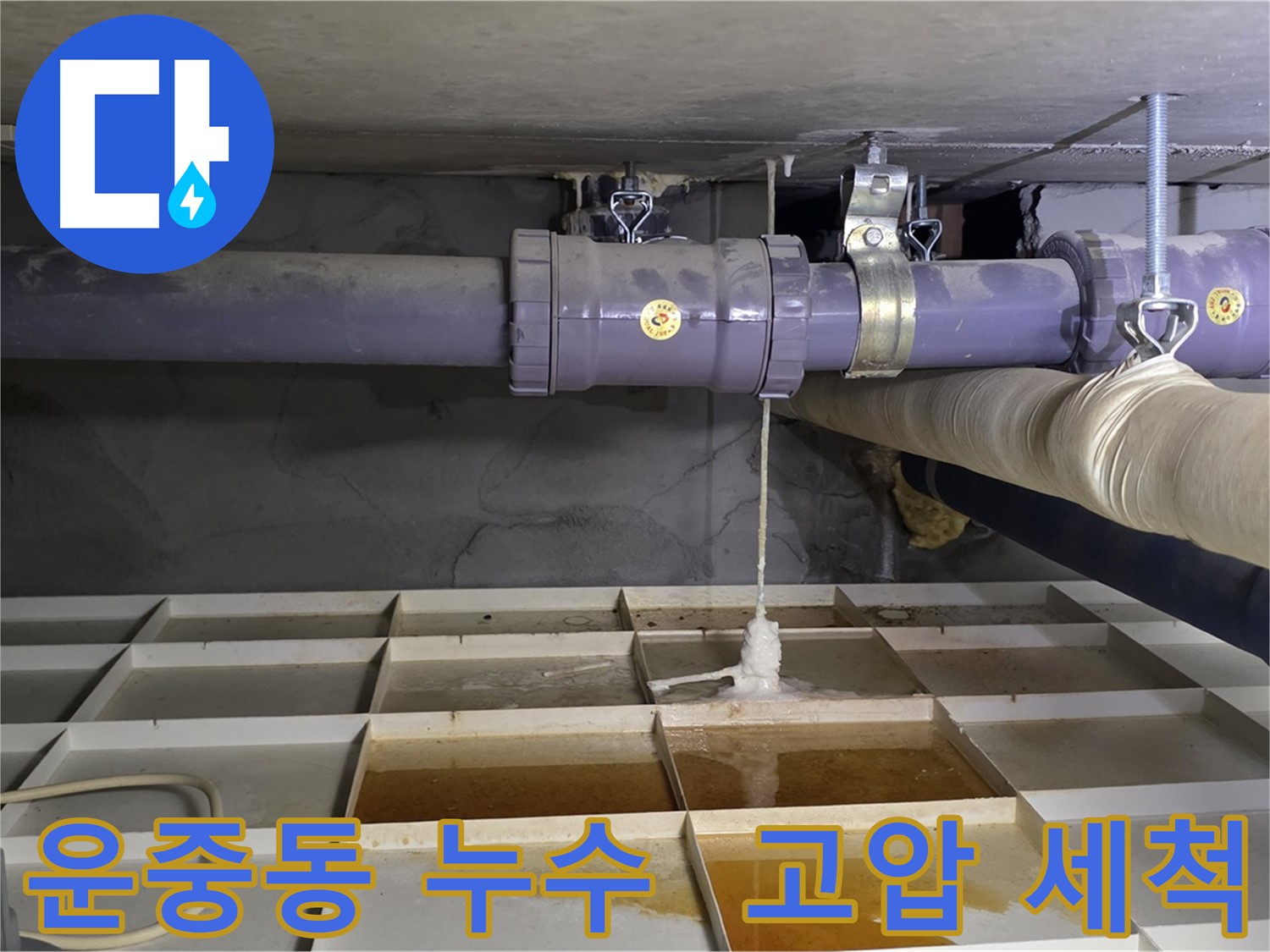운중동 산운마을 6단지 배관 누수 - 연결 부속 막힘, 시원한 고압 세척으로 해결