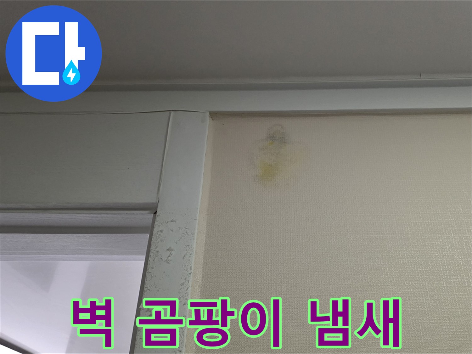 운중동 산운마을 6단지 아파트 - 벽 주변 곰팡이 냄새 누수 초기 증상 확인